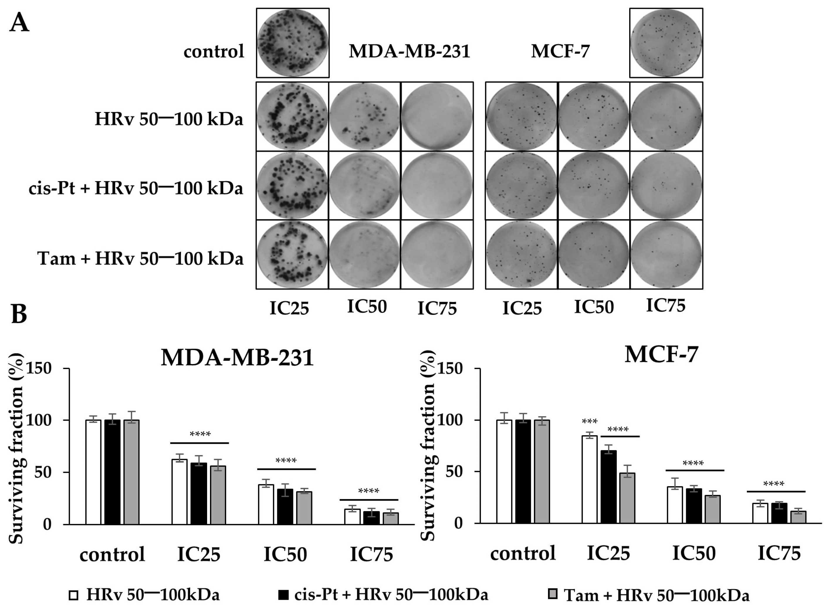 Pharmaceuticals 16 00181 g007 Pharmaceuticals 16 00181 g007