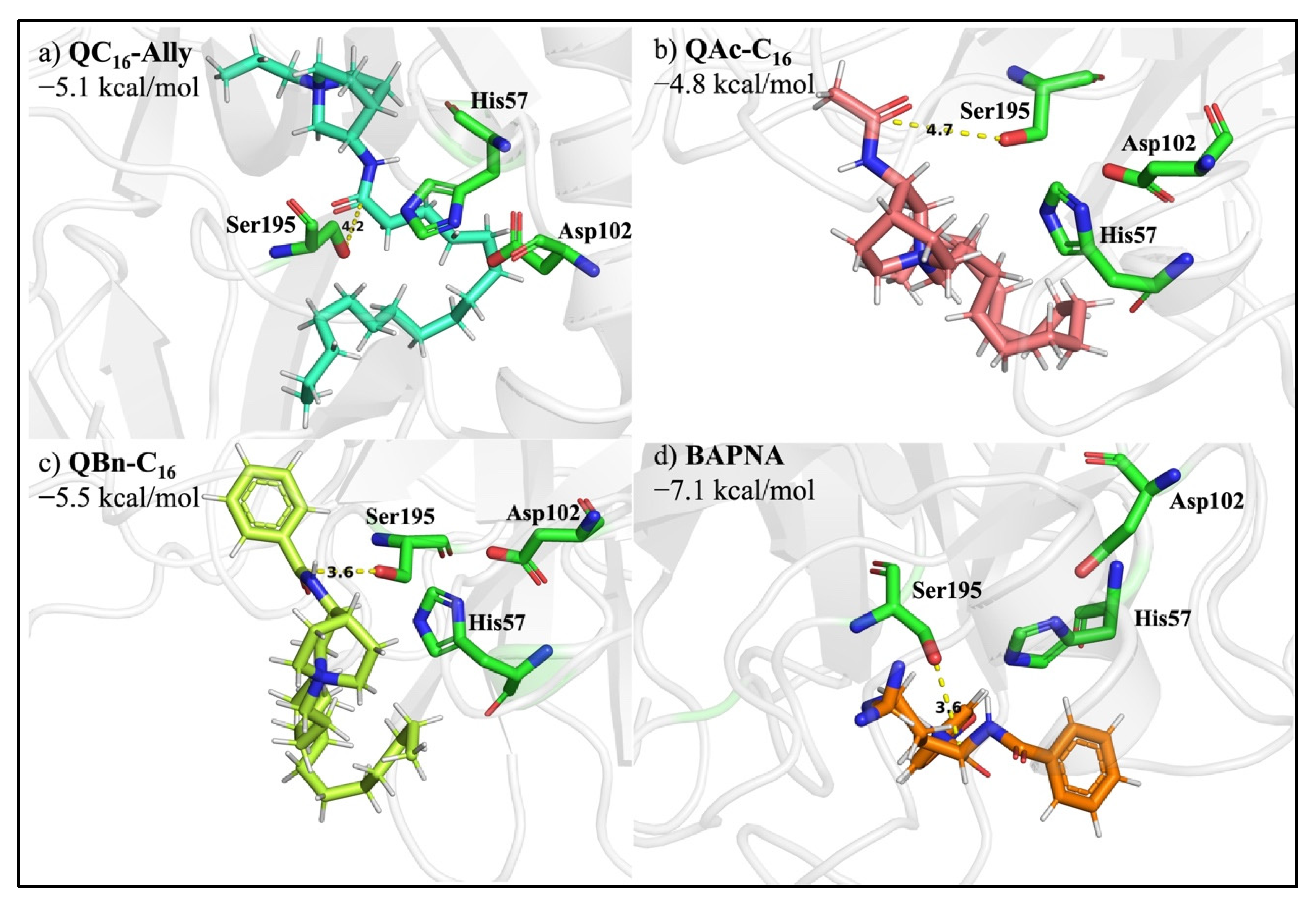 Pharmaceuticals 16 00187 g007