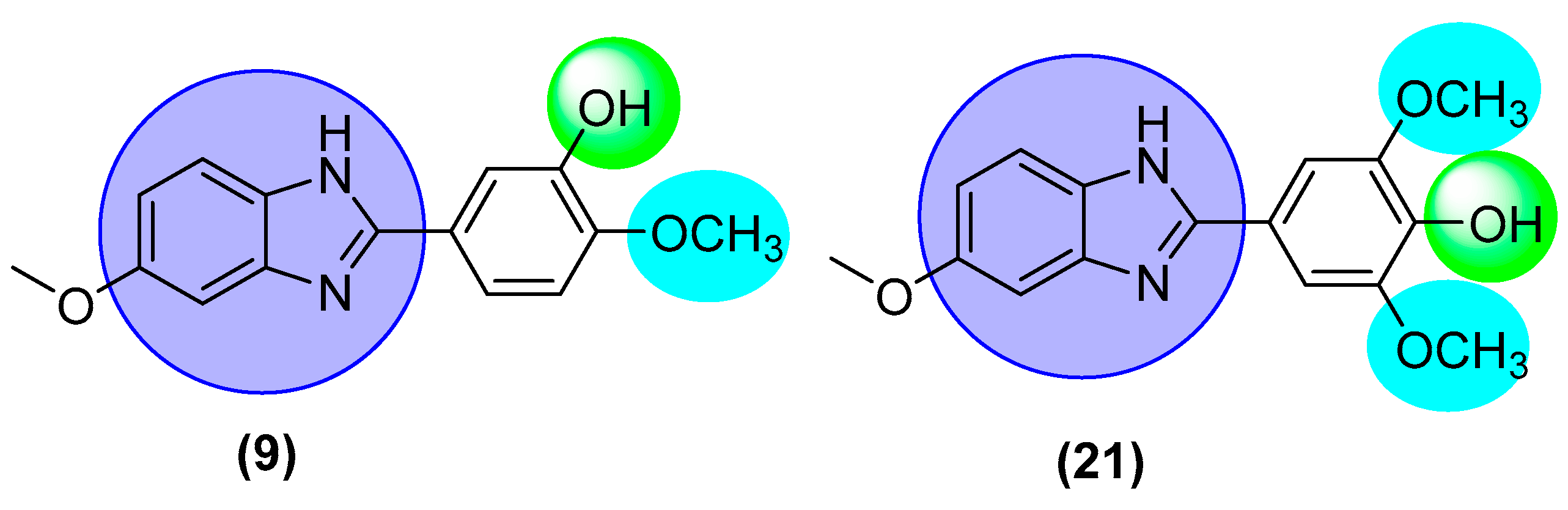 Pharmaceuticals 16 00208 g010 Pharmaceuticals 16 00208 g010