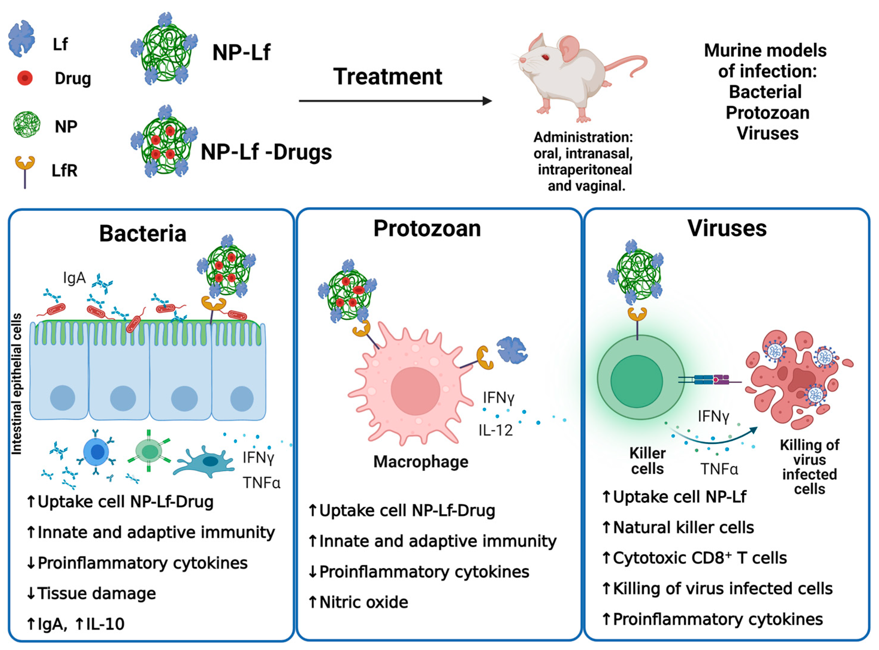 Pharmaceuticals 16 00214 g001 Pharmaceuticals 16 00214 g001