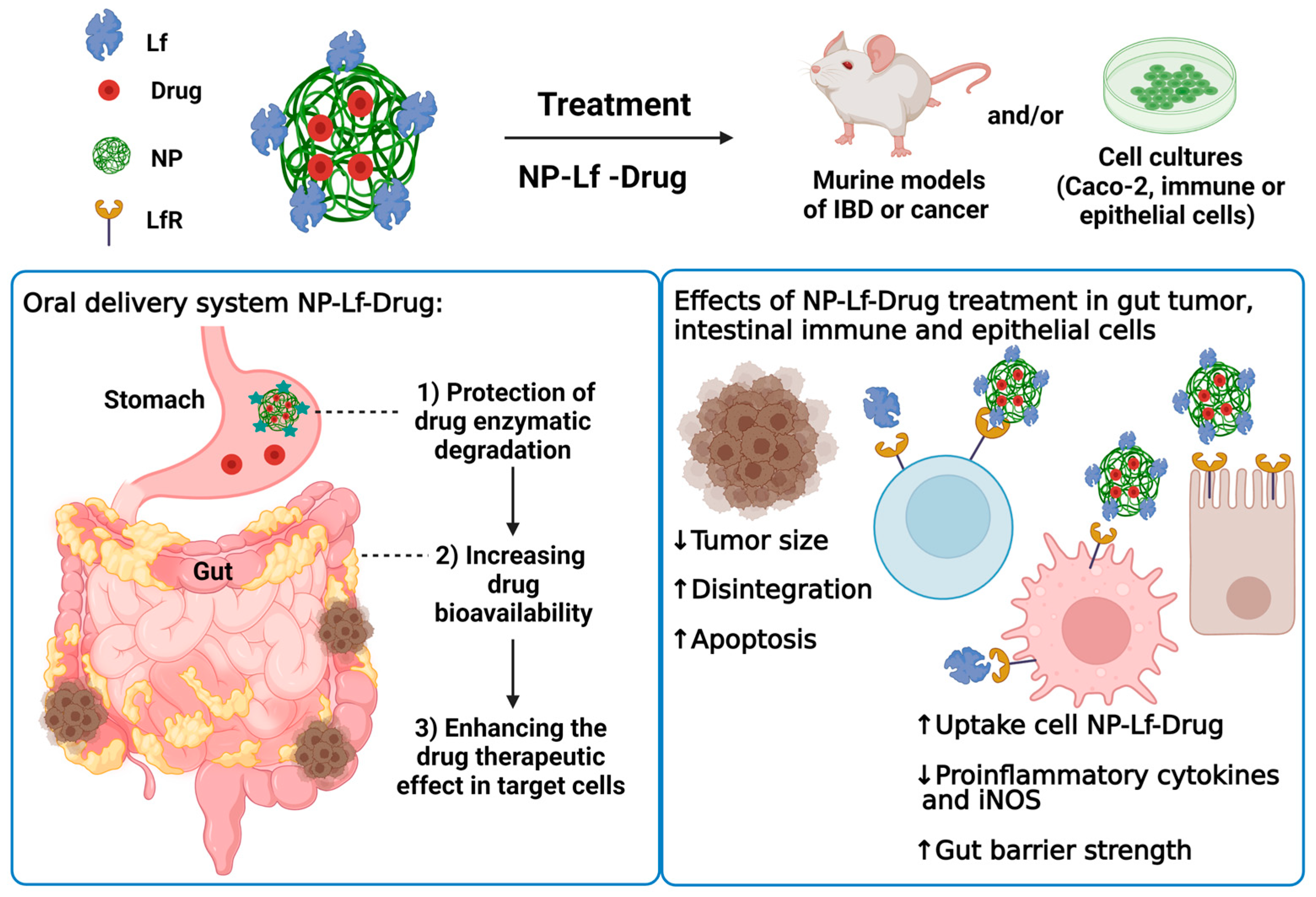 Pharmaceuticals 16 00214 g002 Pharmaceuticals 16 00214 g002