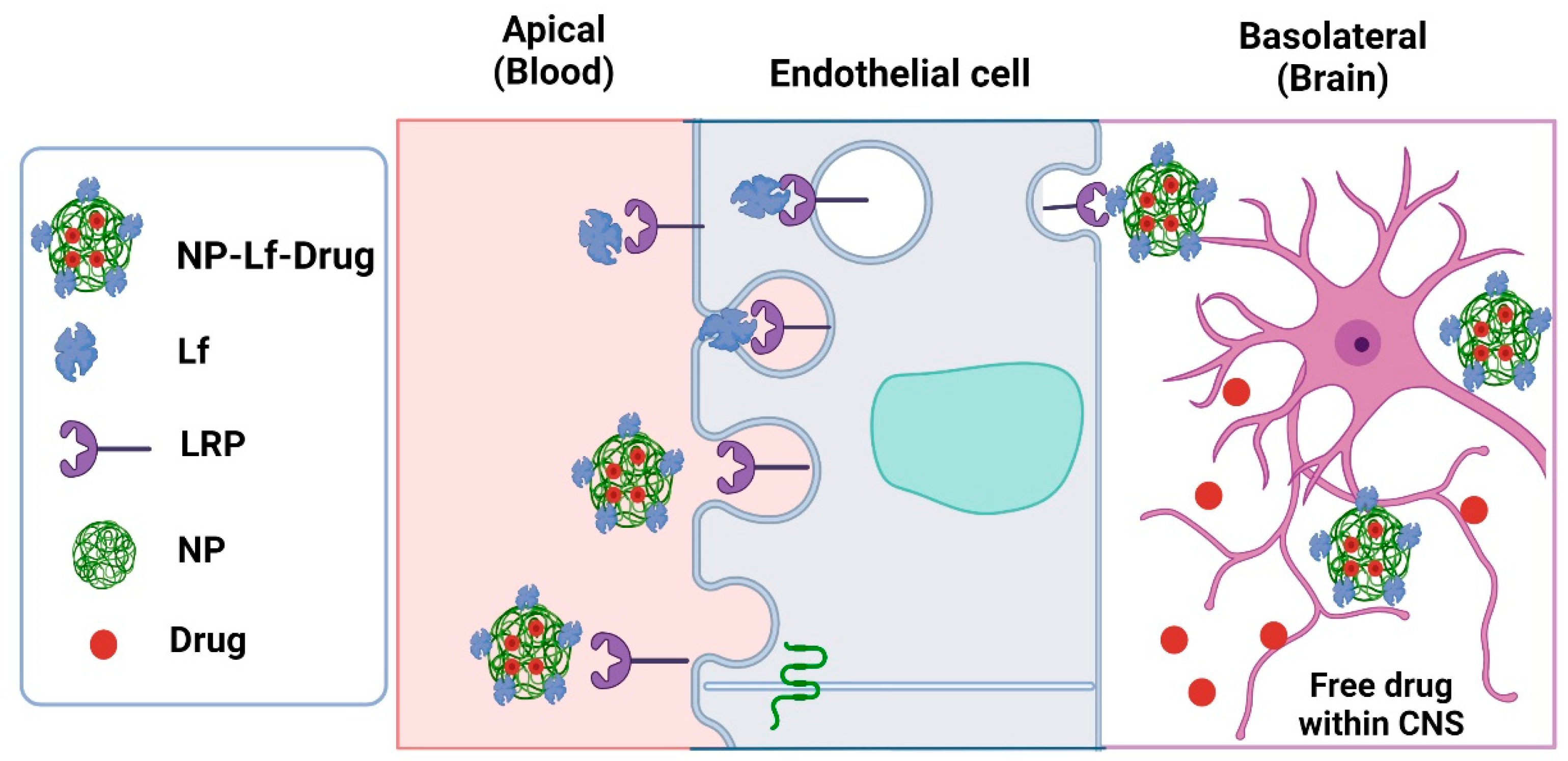 Pharmaceuticals 16 00214 g003 Pharmaceuticals 16 00214 g003