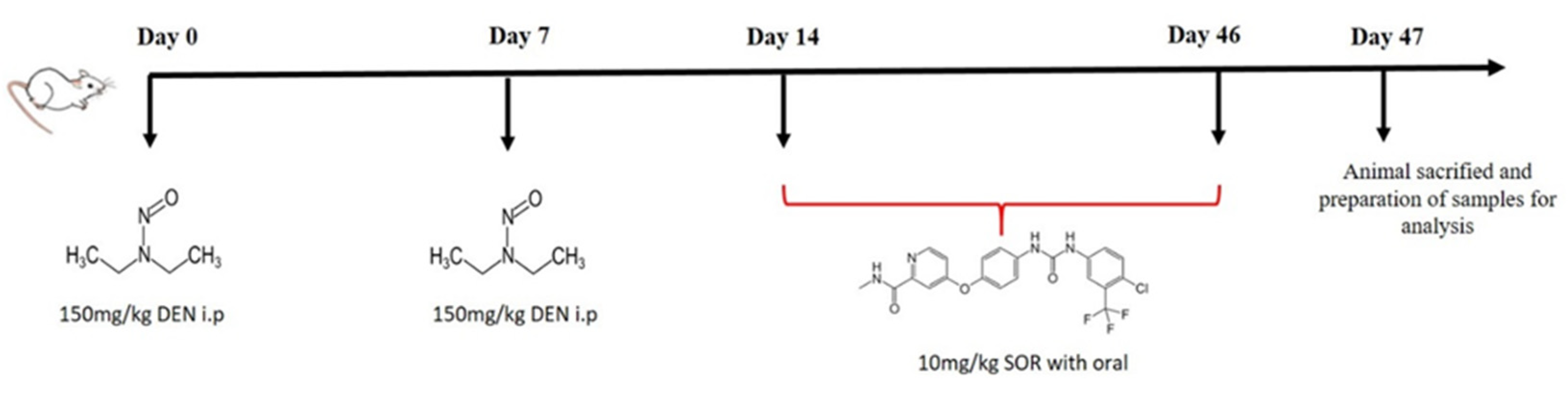 Pharmaceuticals 16 00221 g007 Pharmaceuticals 16 00221 g007