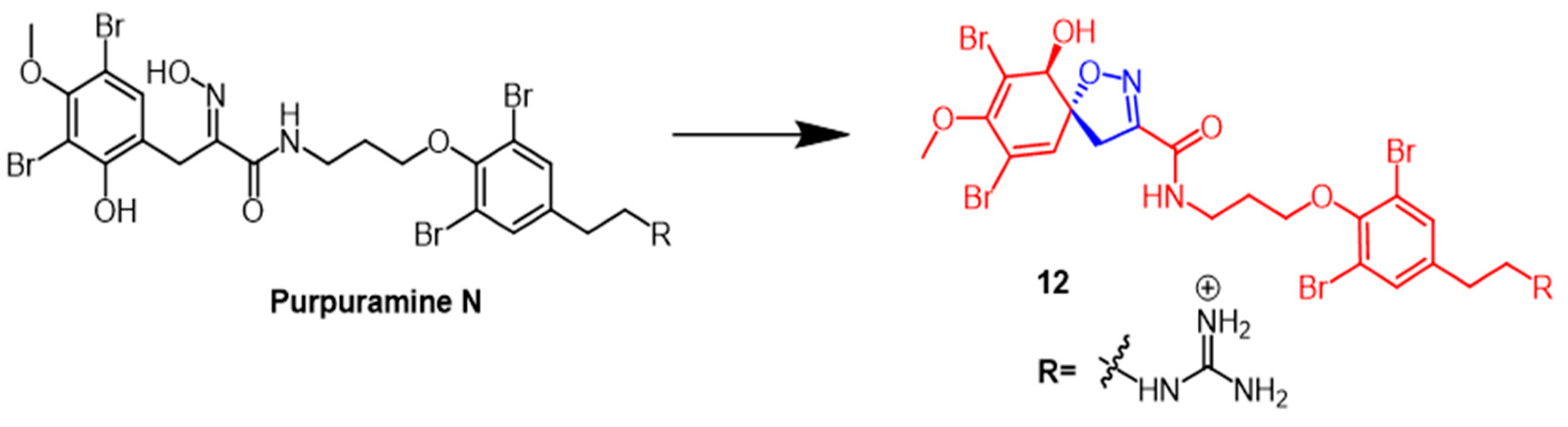 Pharmaceuticals 16 00228 g009 Pharmaceuticals 16 00228 g009
