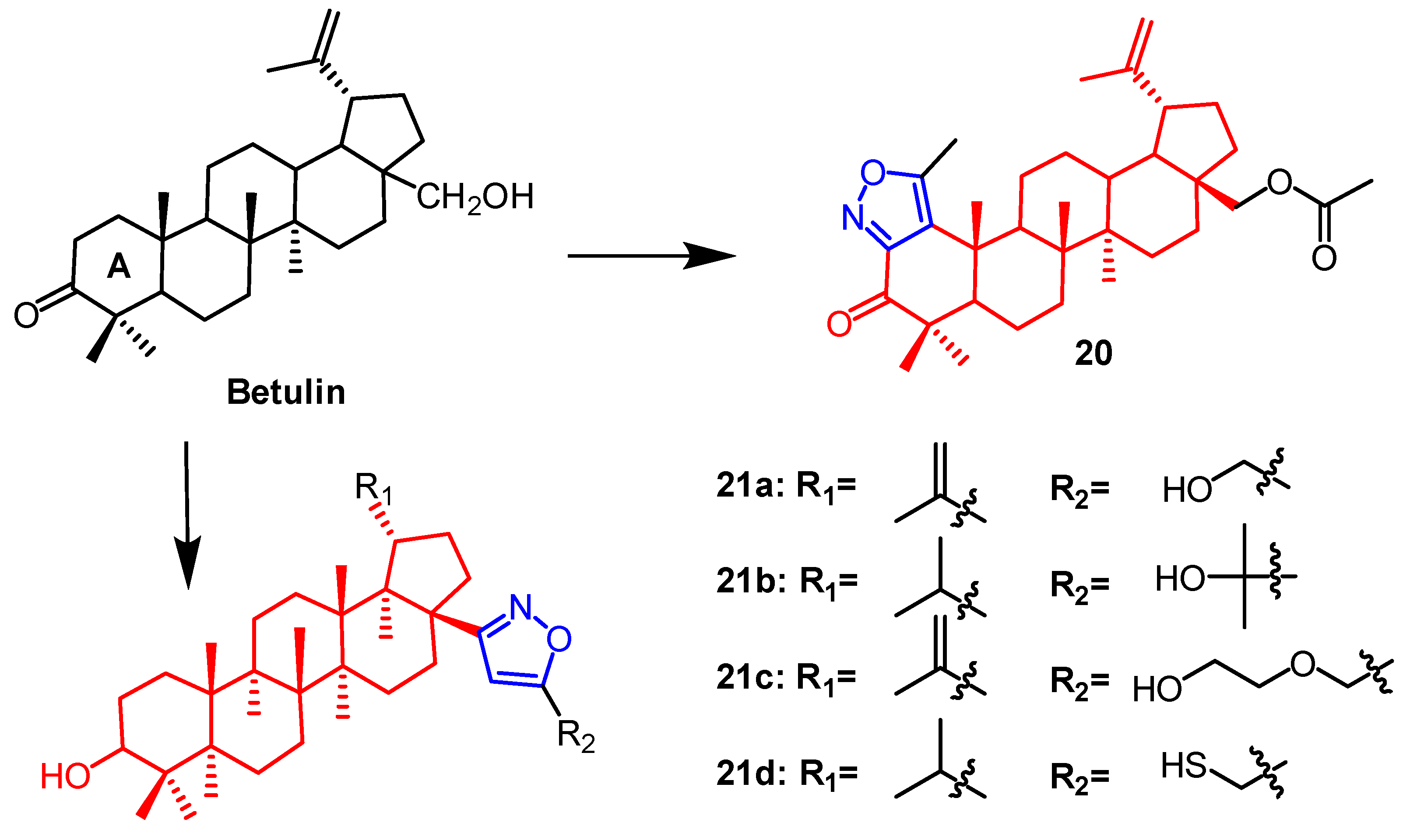 Pharmaceuticals 16 00228 g014 Pharmaceuticals 16 00228 g014
