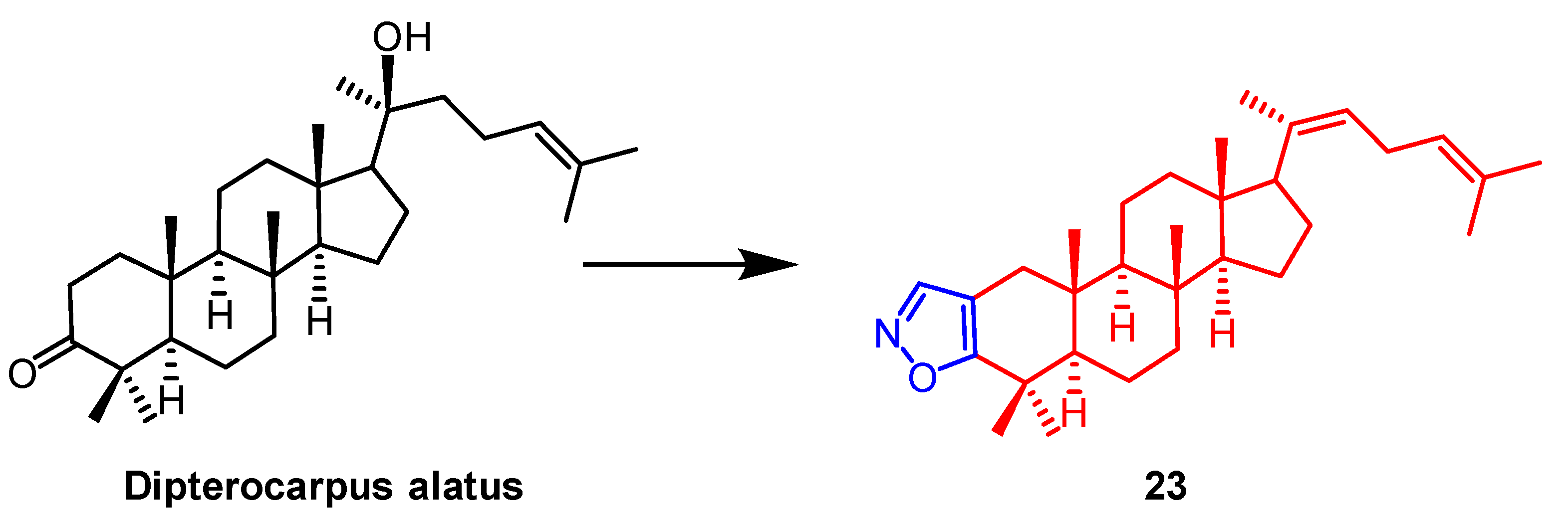 Pharmaceuticals 16 00228 g016 Pharmaceuticals 16 00228 g016
