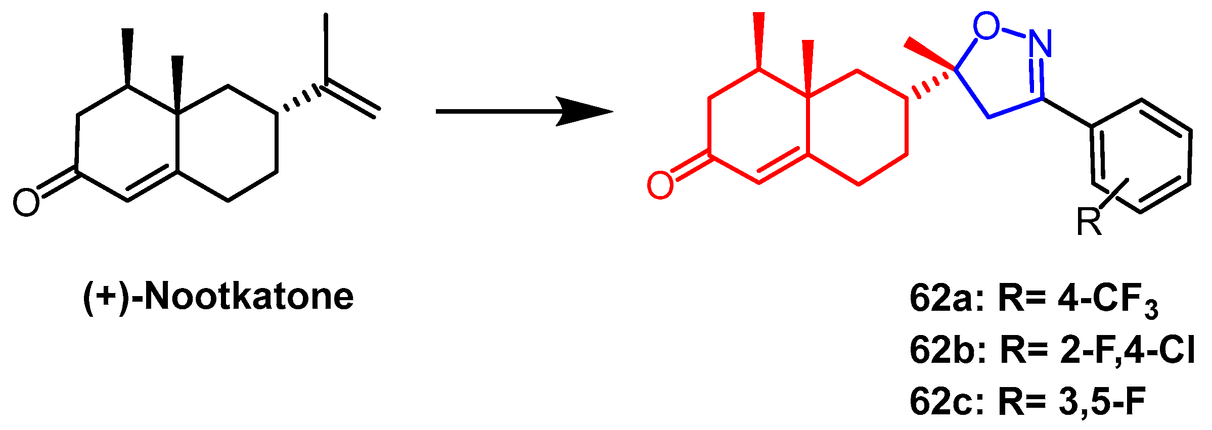 Pharmaceuticals 16 00228 g048 Pharmaceuticals 16 00228 g048