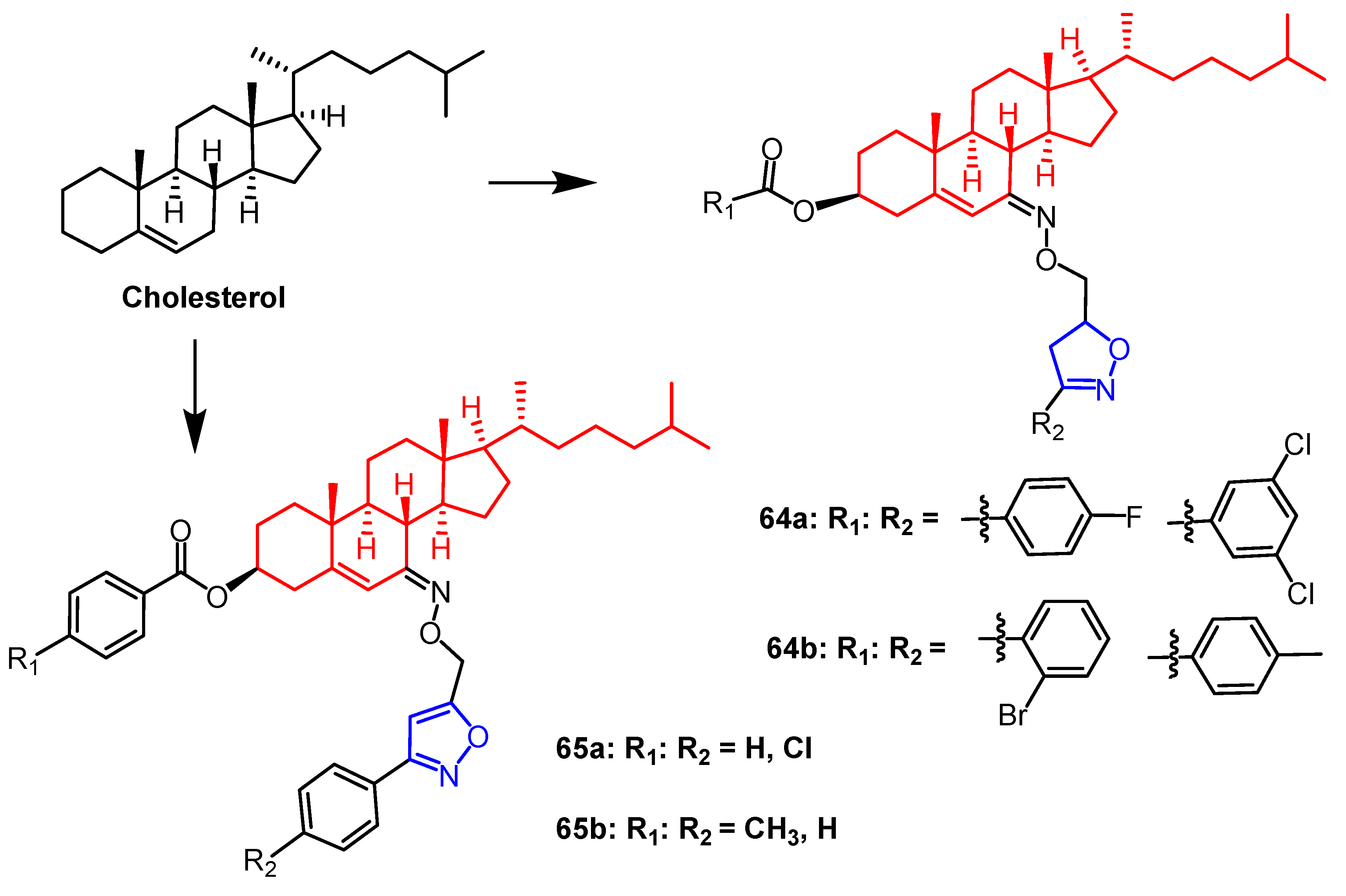 Pharmaceuticals 16 00228 g050 Pharmaceuticals 16 00228 g050