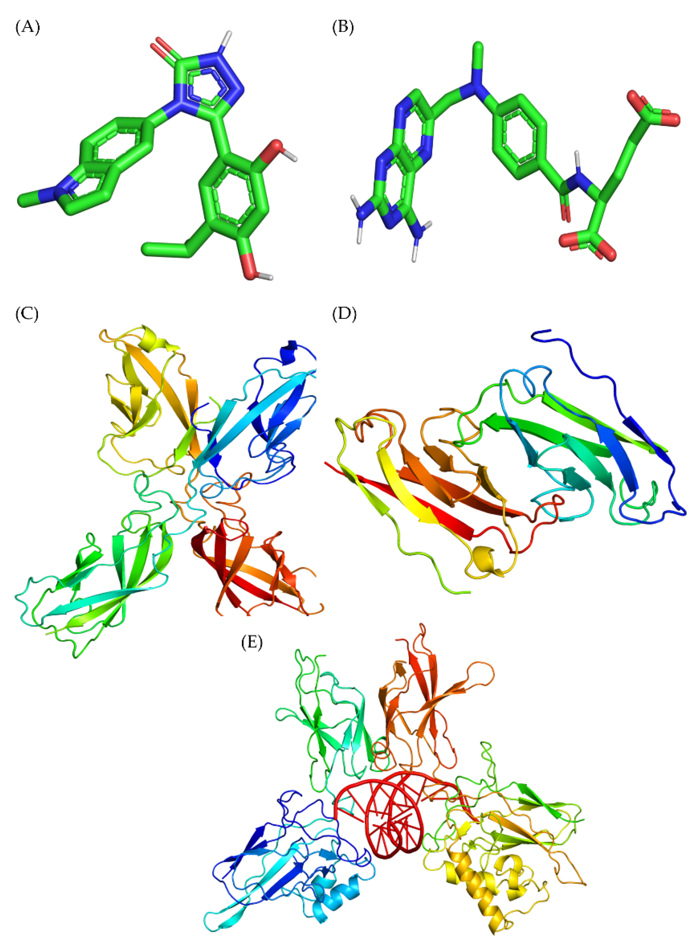 NF kappaB p65 ELISA Kit (ab176648)