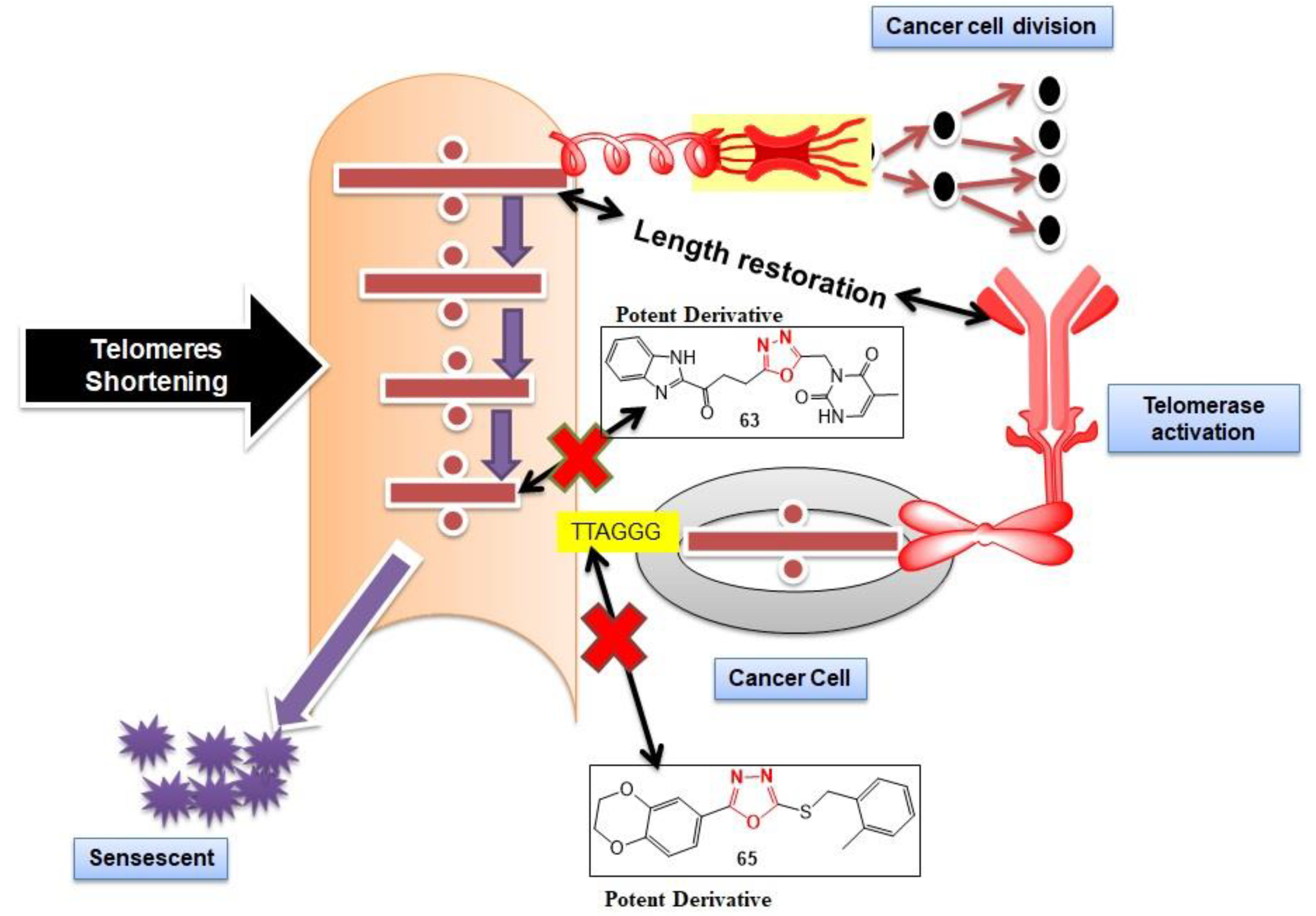 Pharmaceuticals 16 00254 g008 Pharmaceuticals 16 00254 g008