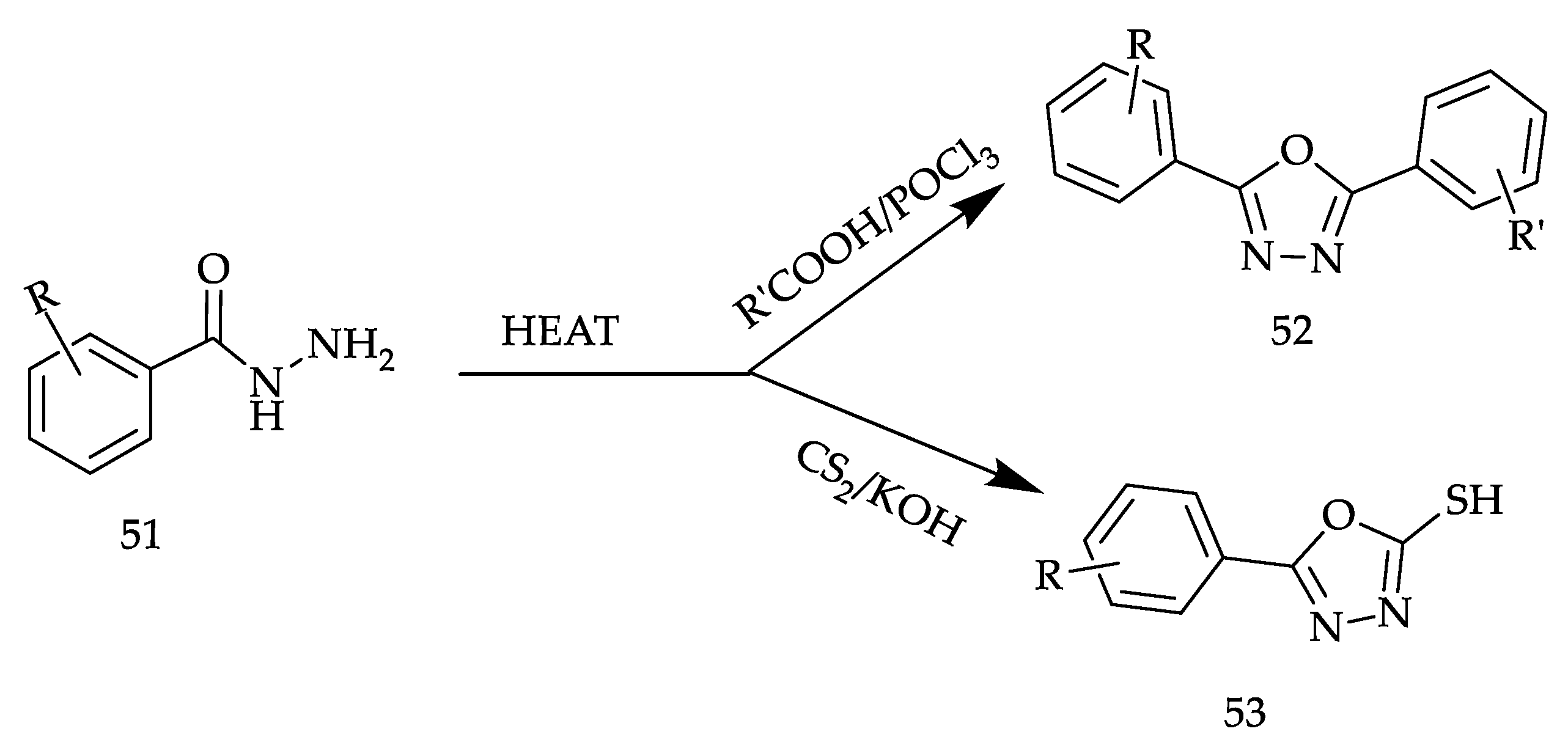 Pharmaceuticals 16 00254 sch015 Pharmaceuticals 16 00254 sch015