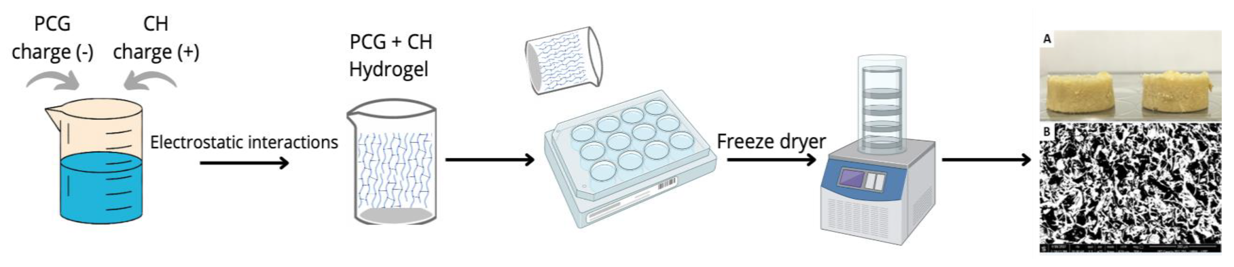 Pharmaceuticals 16 00266 g001