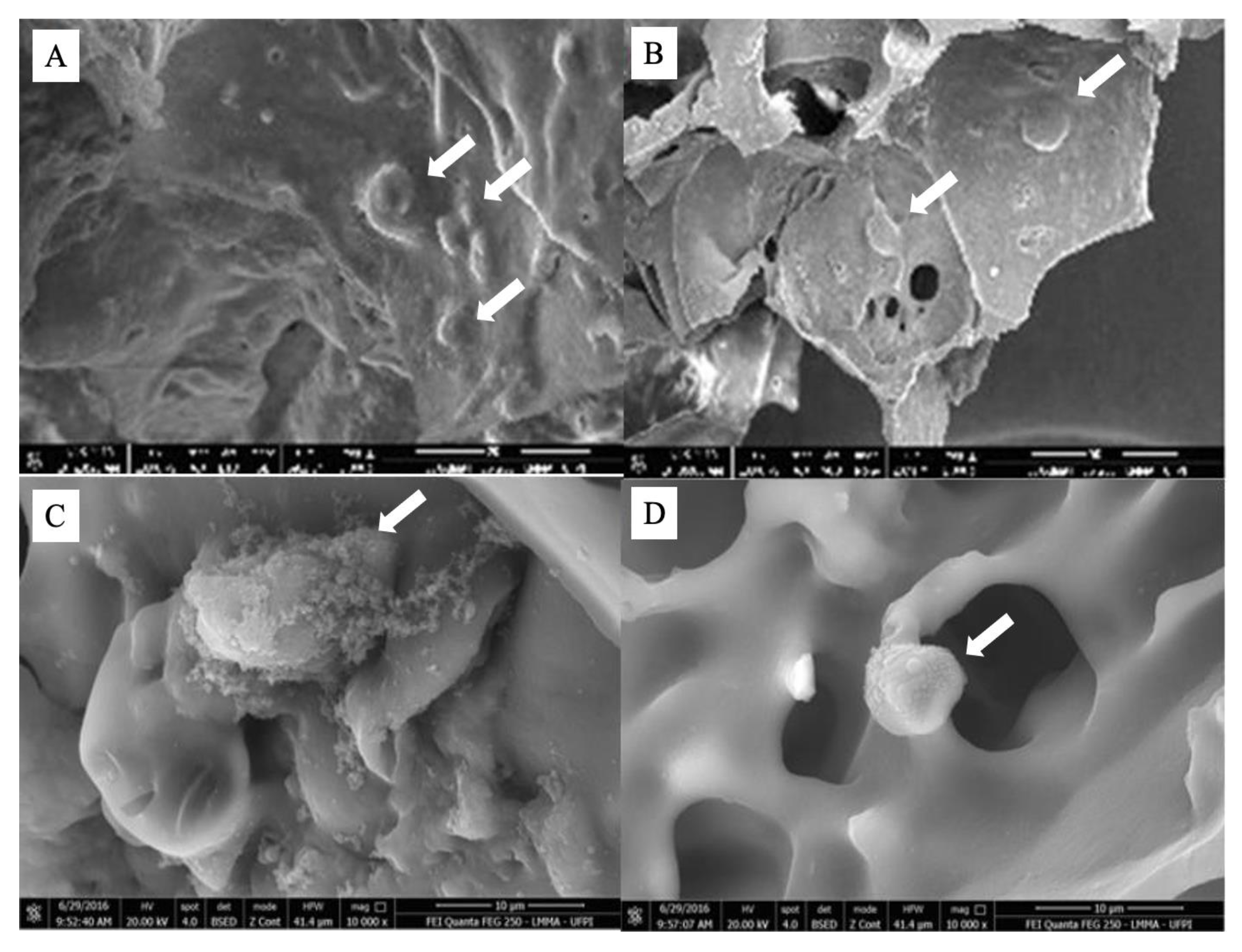 Pharmaceuticals 16 00266 g007