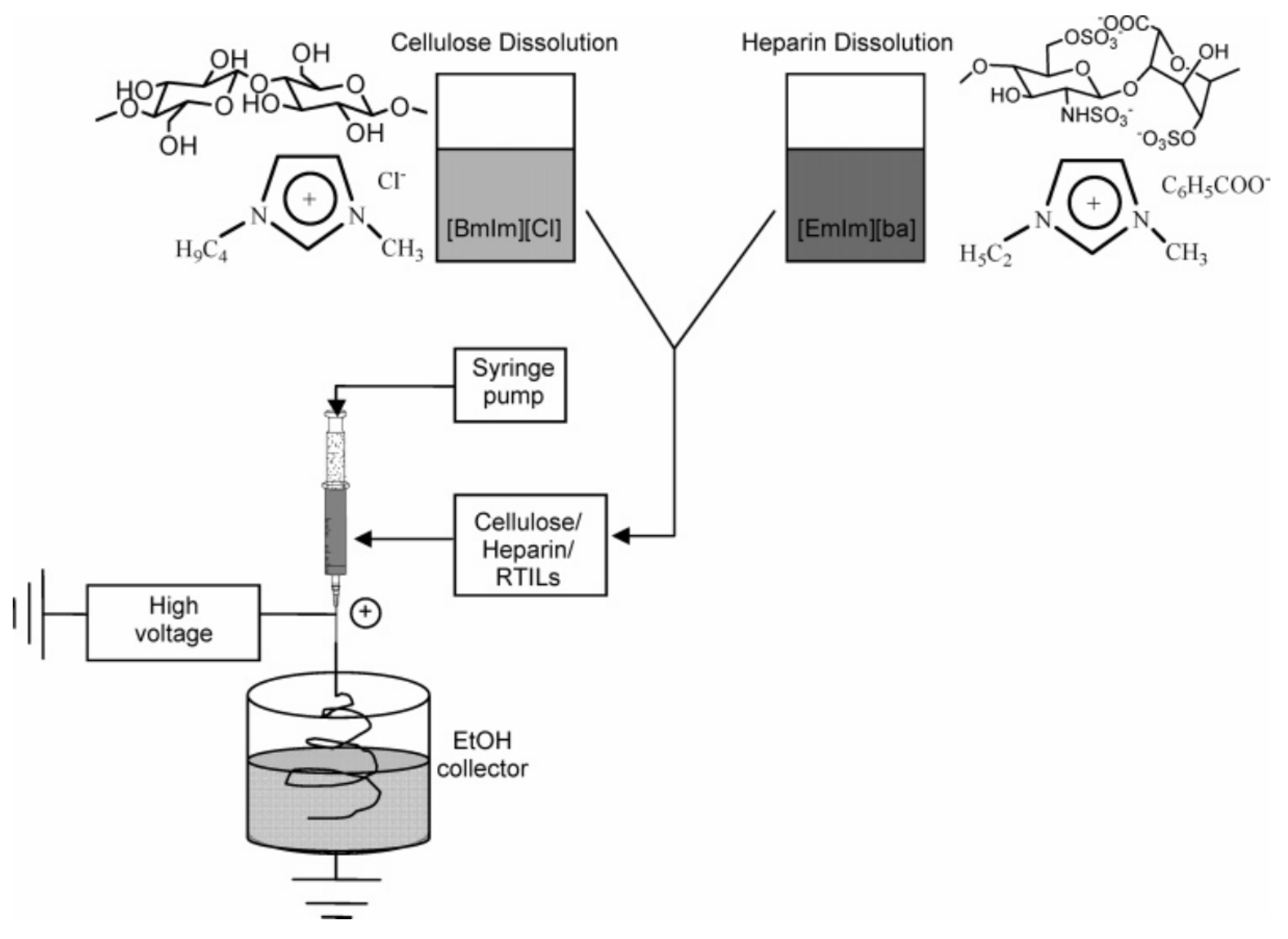 Pharmaceuticals 16 00272 g001