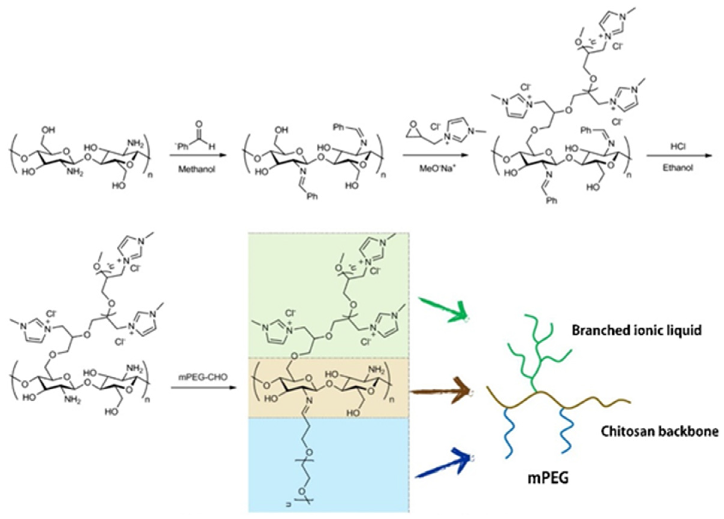 Pharmaceuticals 16 00272 sch001