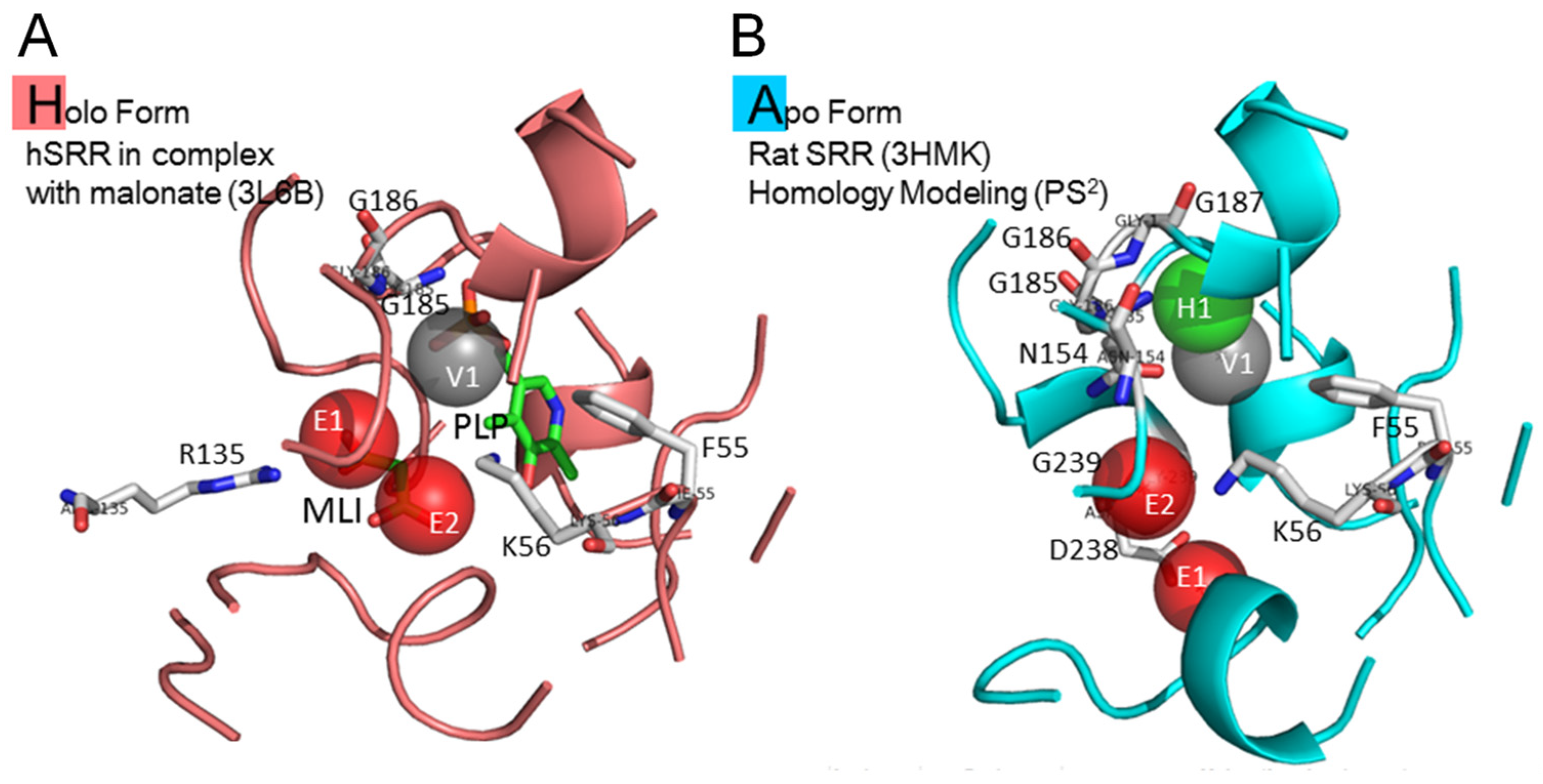 Pharmaceuticals 16 00280 g001