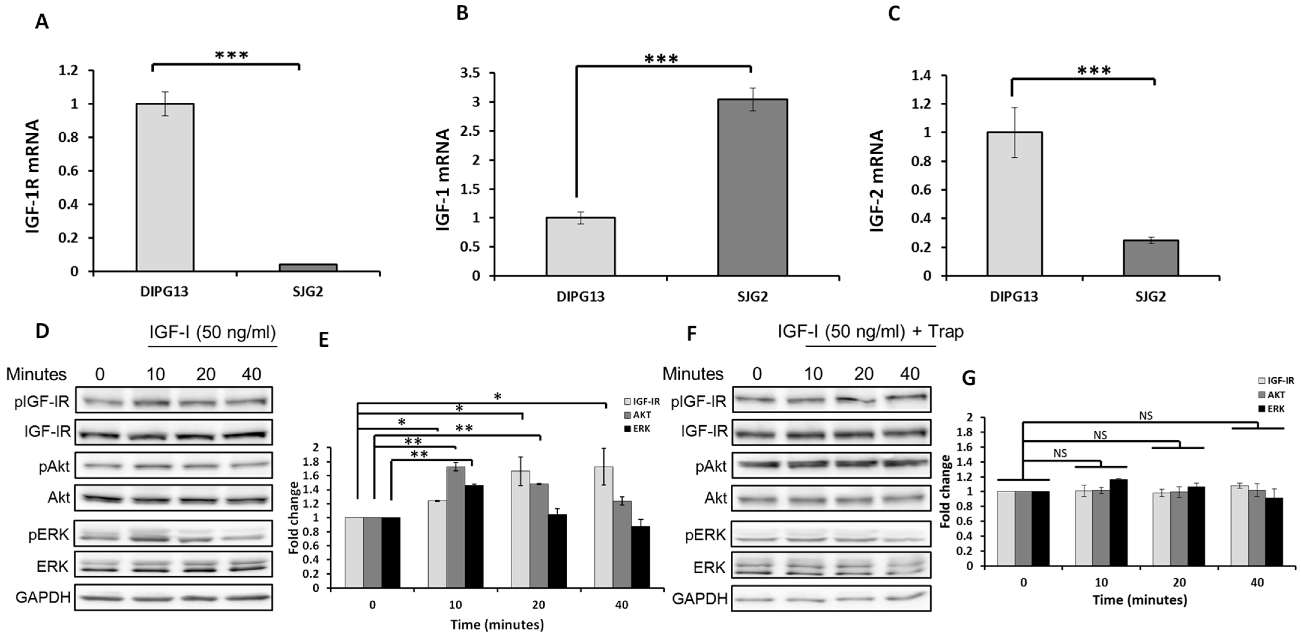 Pharmaceuticals 16 00297 g001