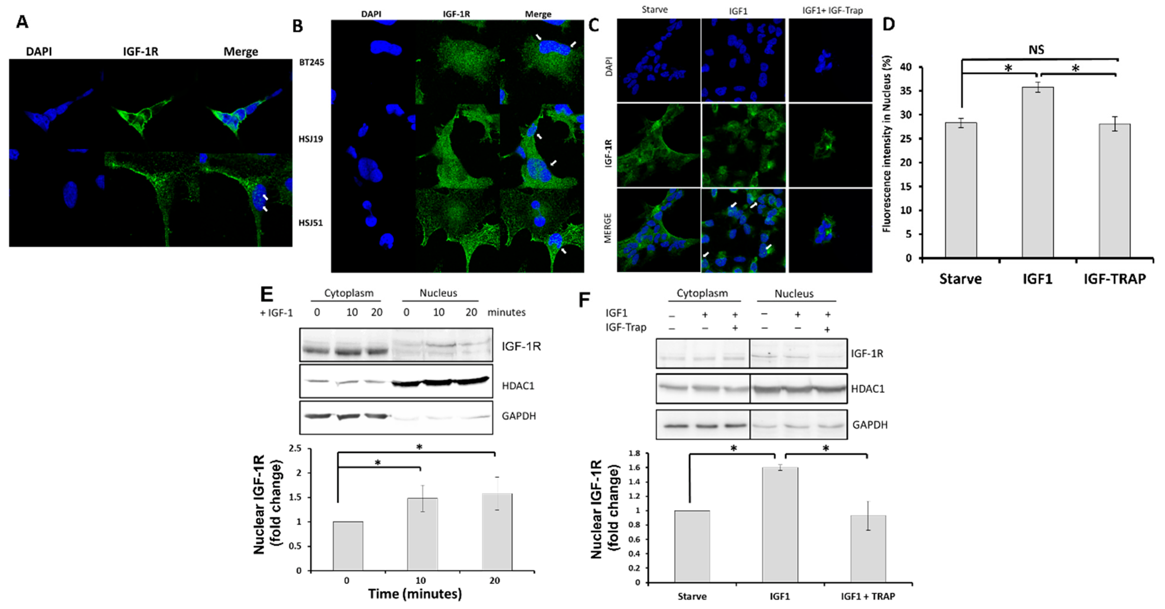 Pharmaceuticals 16 00297 g002