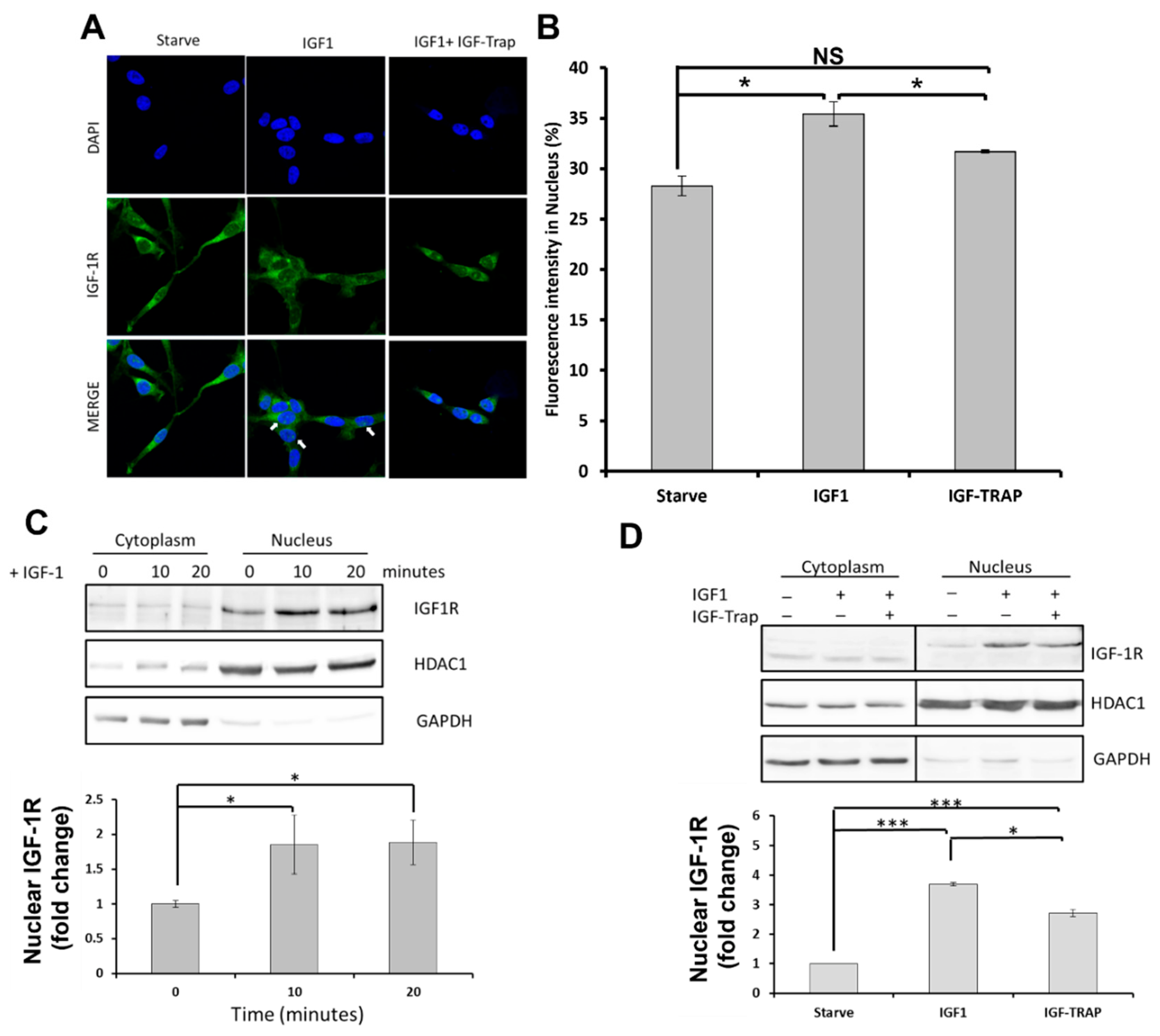 Pharmaceuticals 16 00297 g004