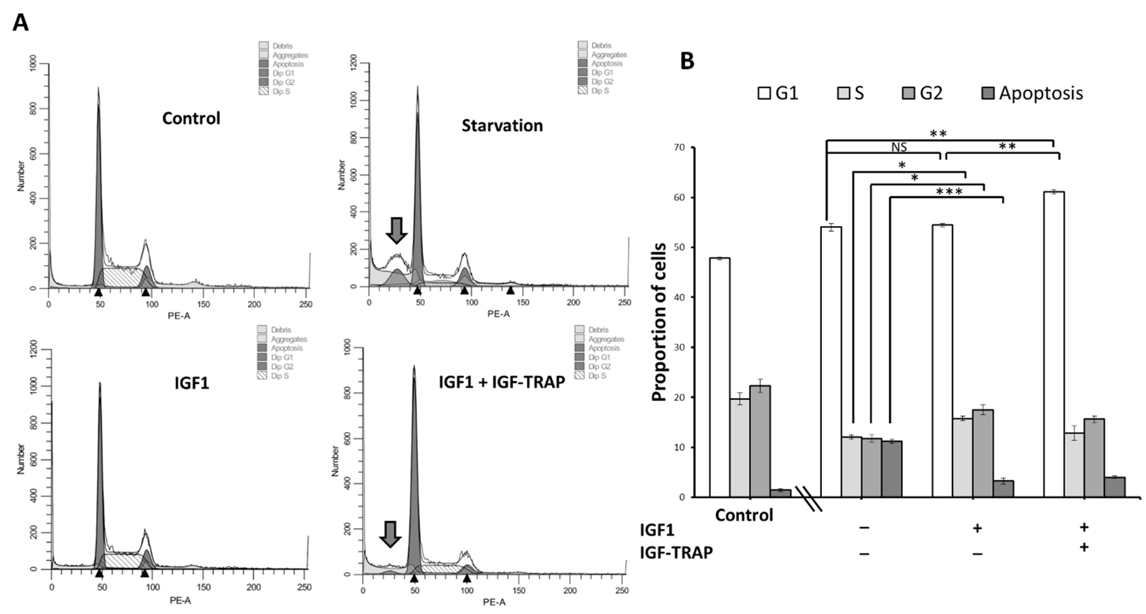 Pharmaceuticals 16 00297 g006