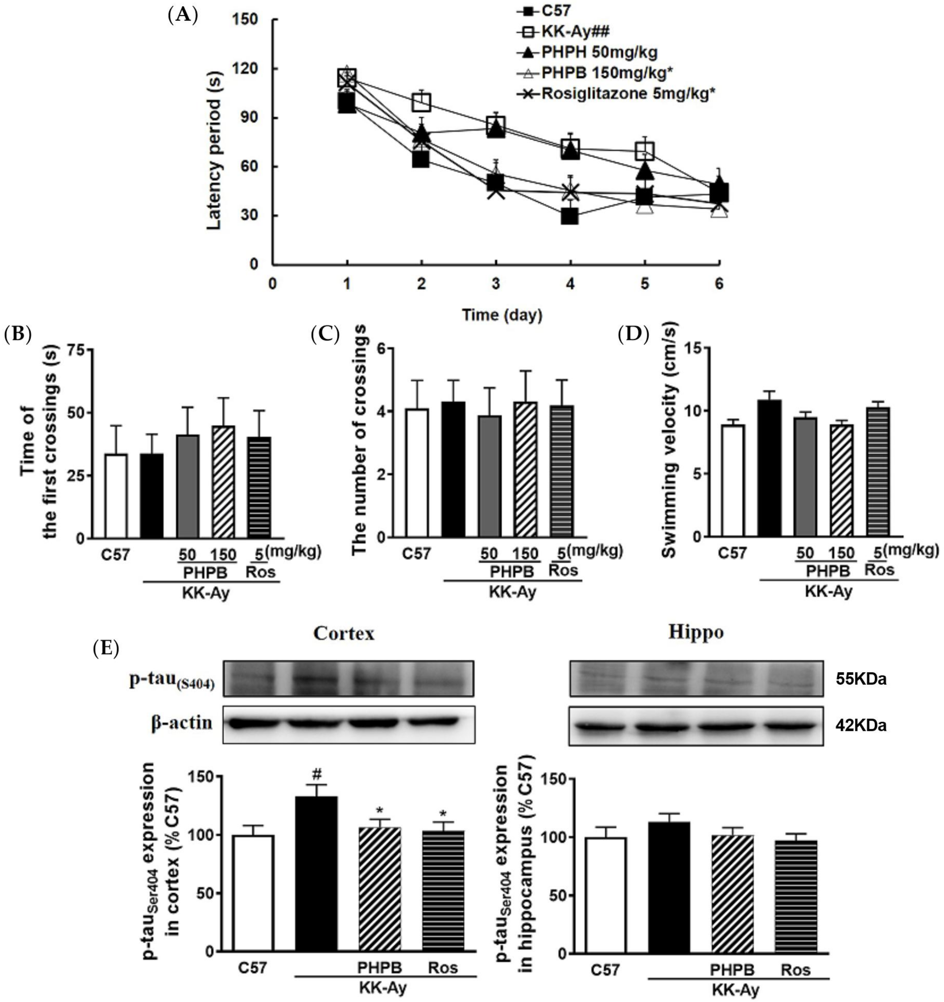 Pharmaceuticals 16 00305 g003