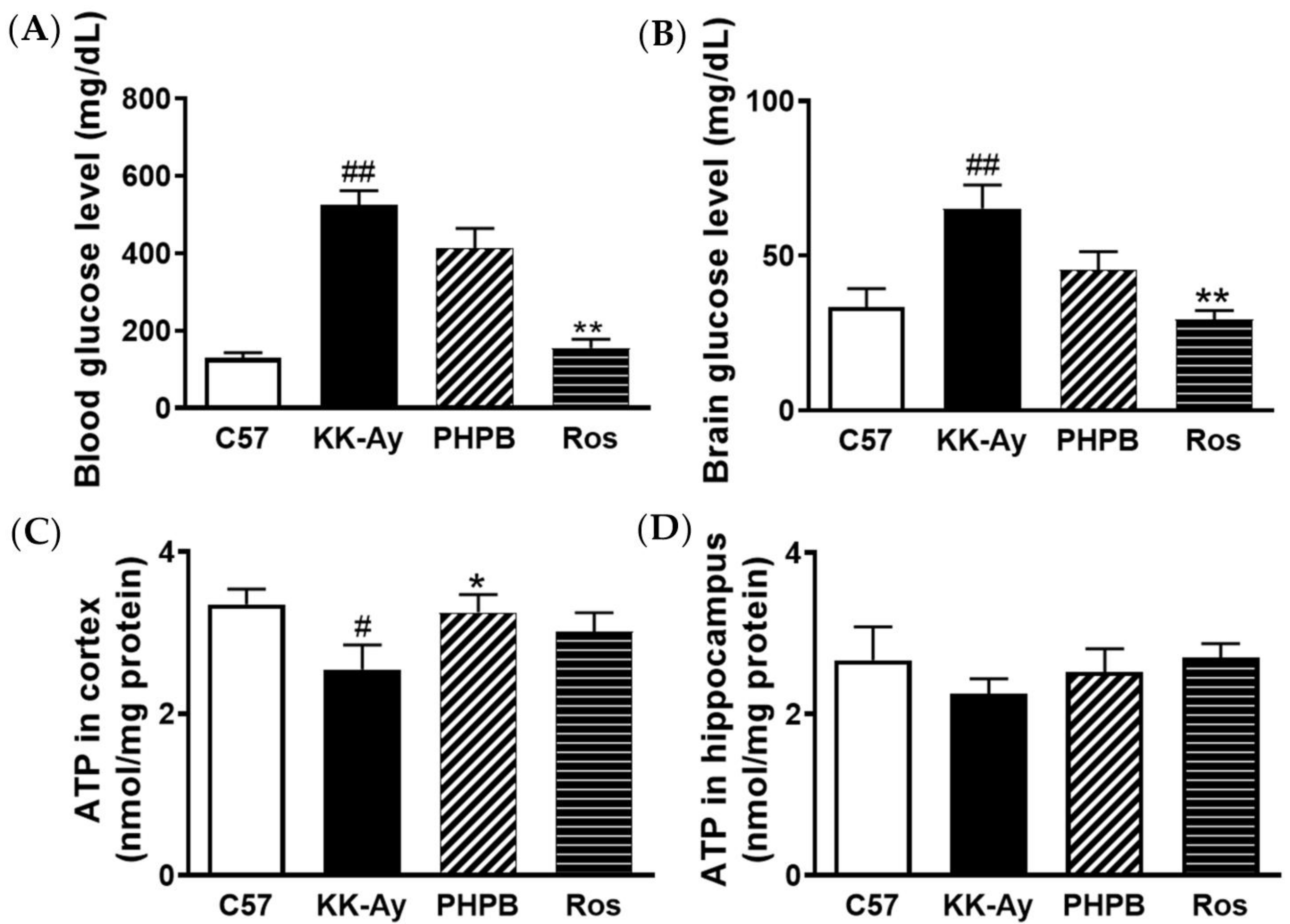 Pharmaceuticals 16 00305 g004