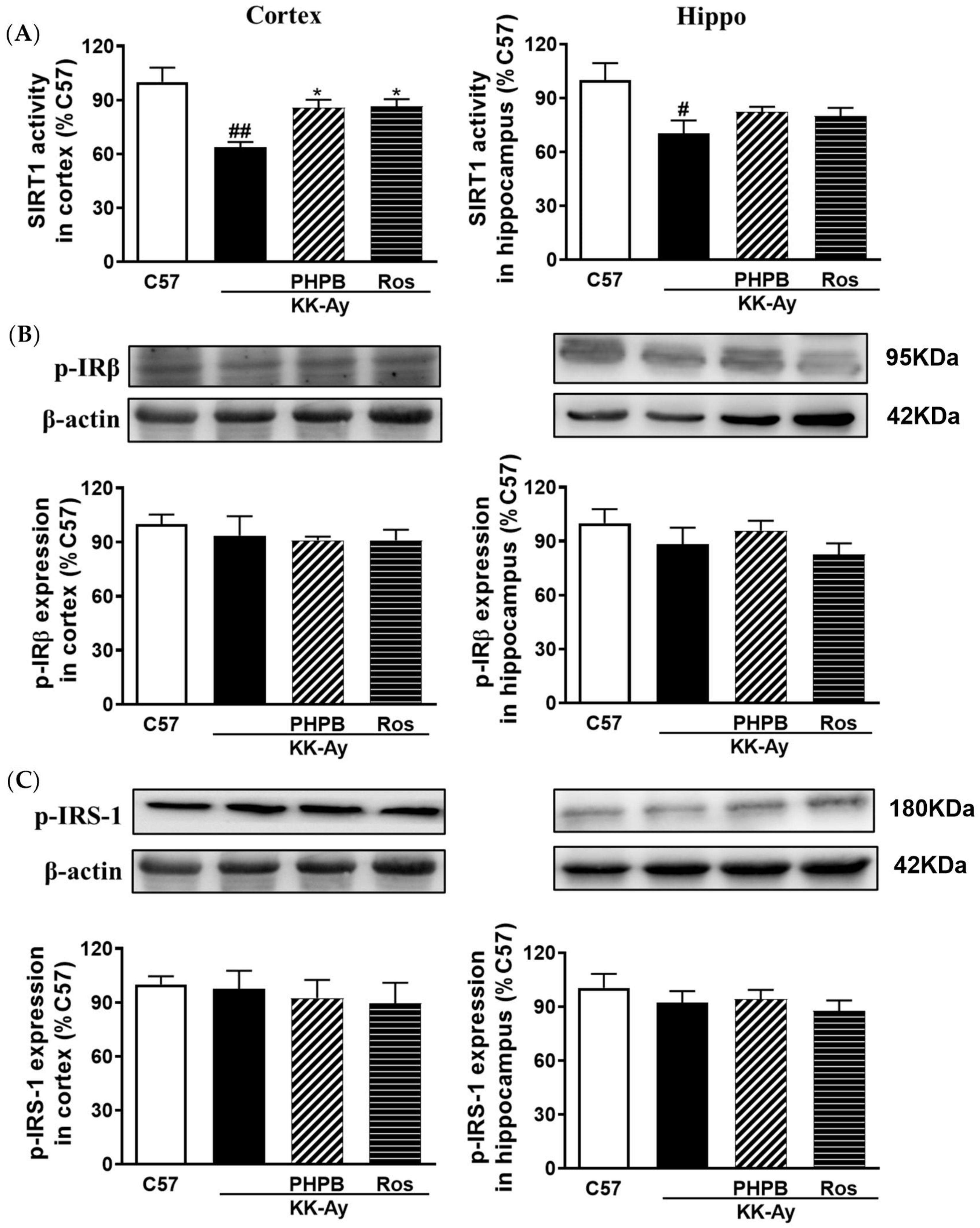 Pharmaceuticals 16 00305 g007a
