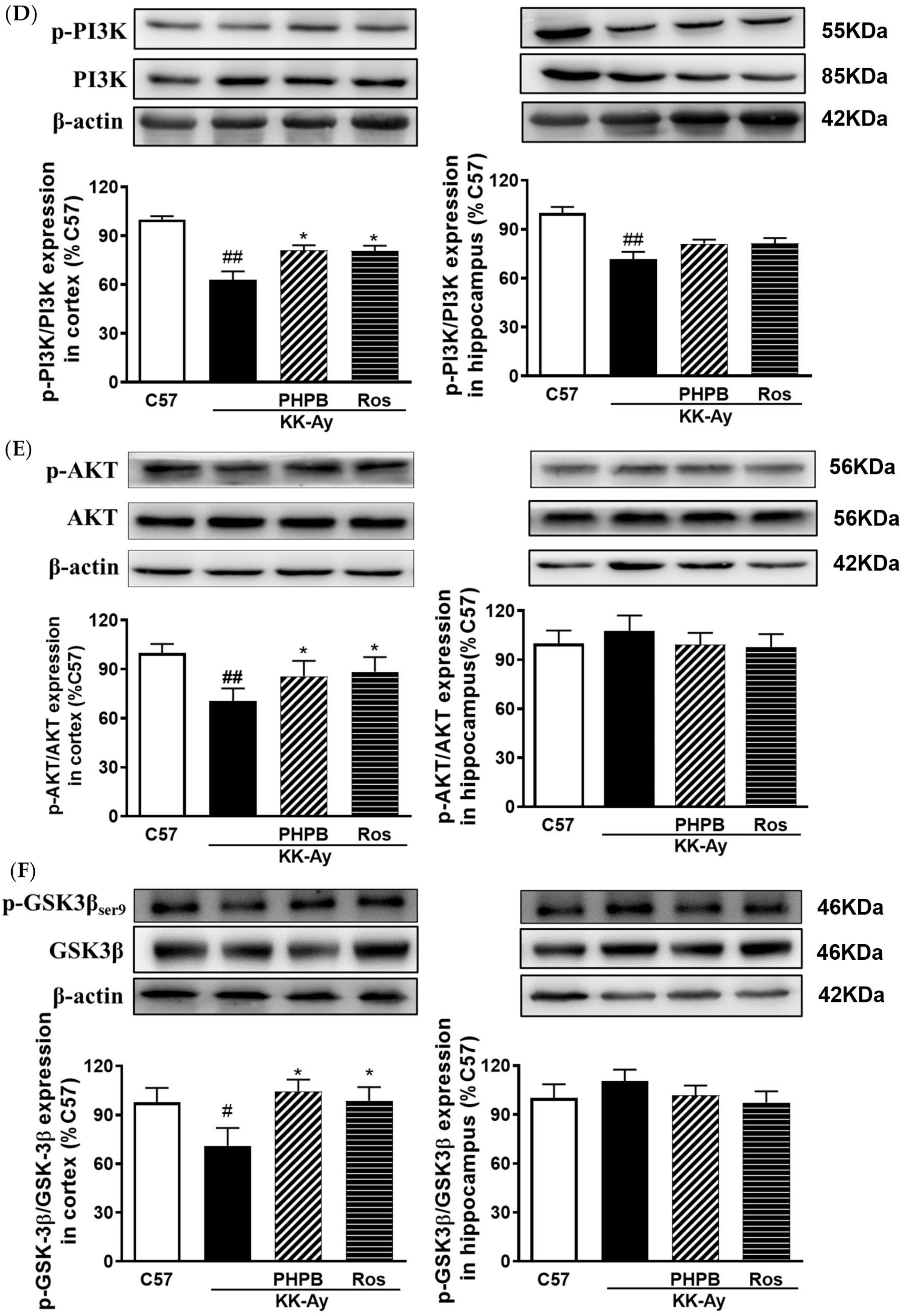 Pharmaceuticals 16 00305 g007b