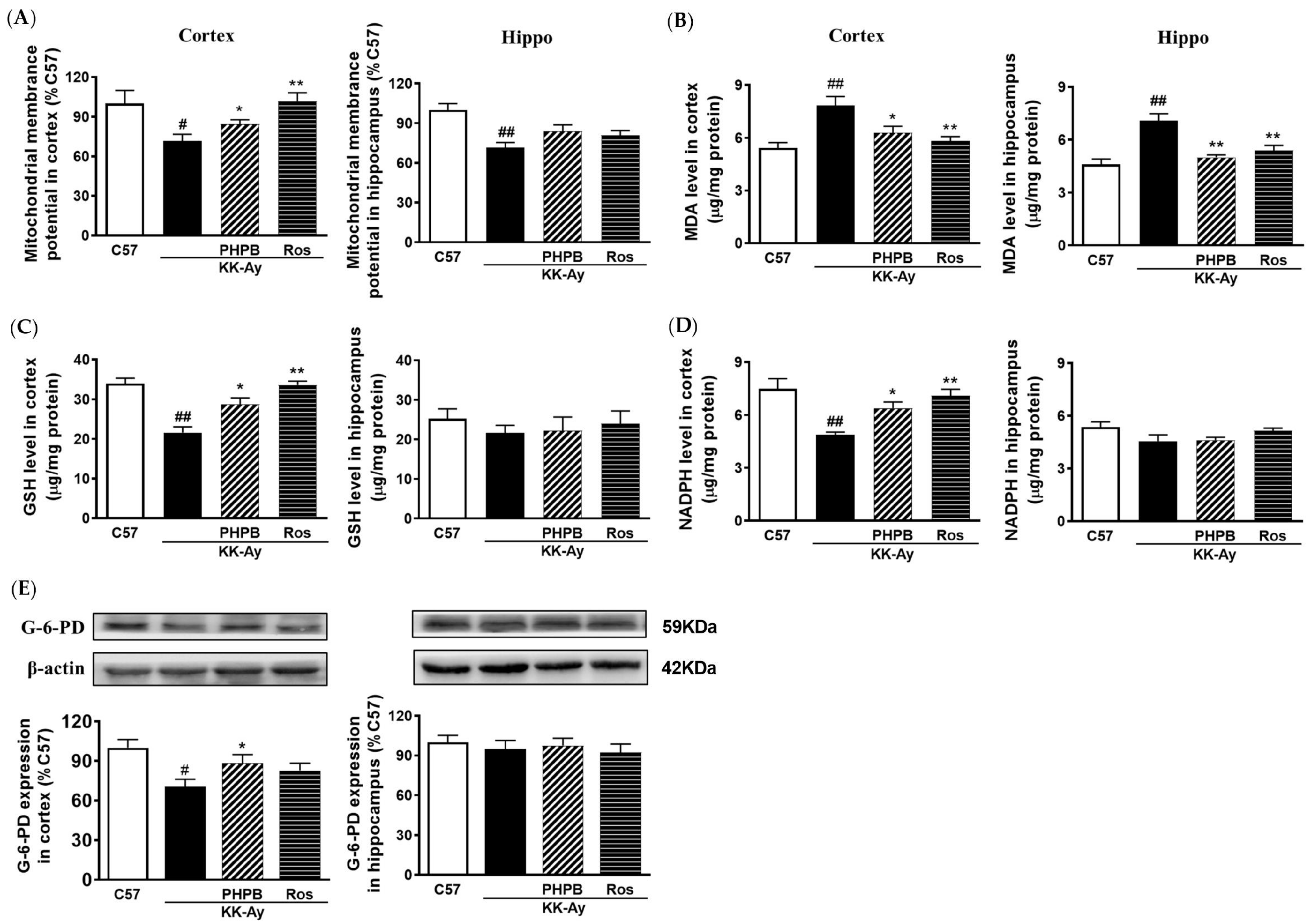 Pharmaceuticals 16 00305 g008