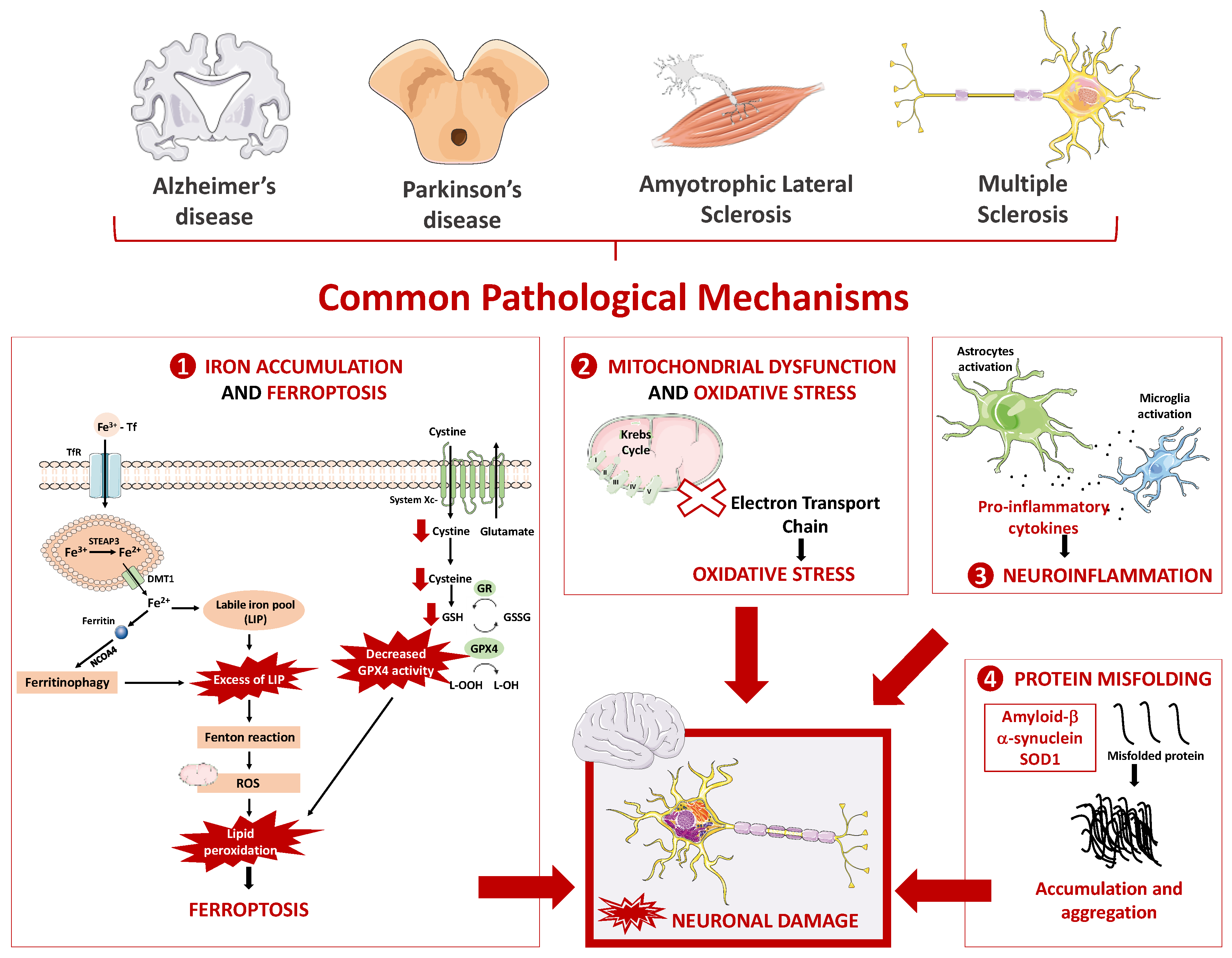 Pharmaceuticals 16 00311 g001