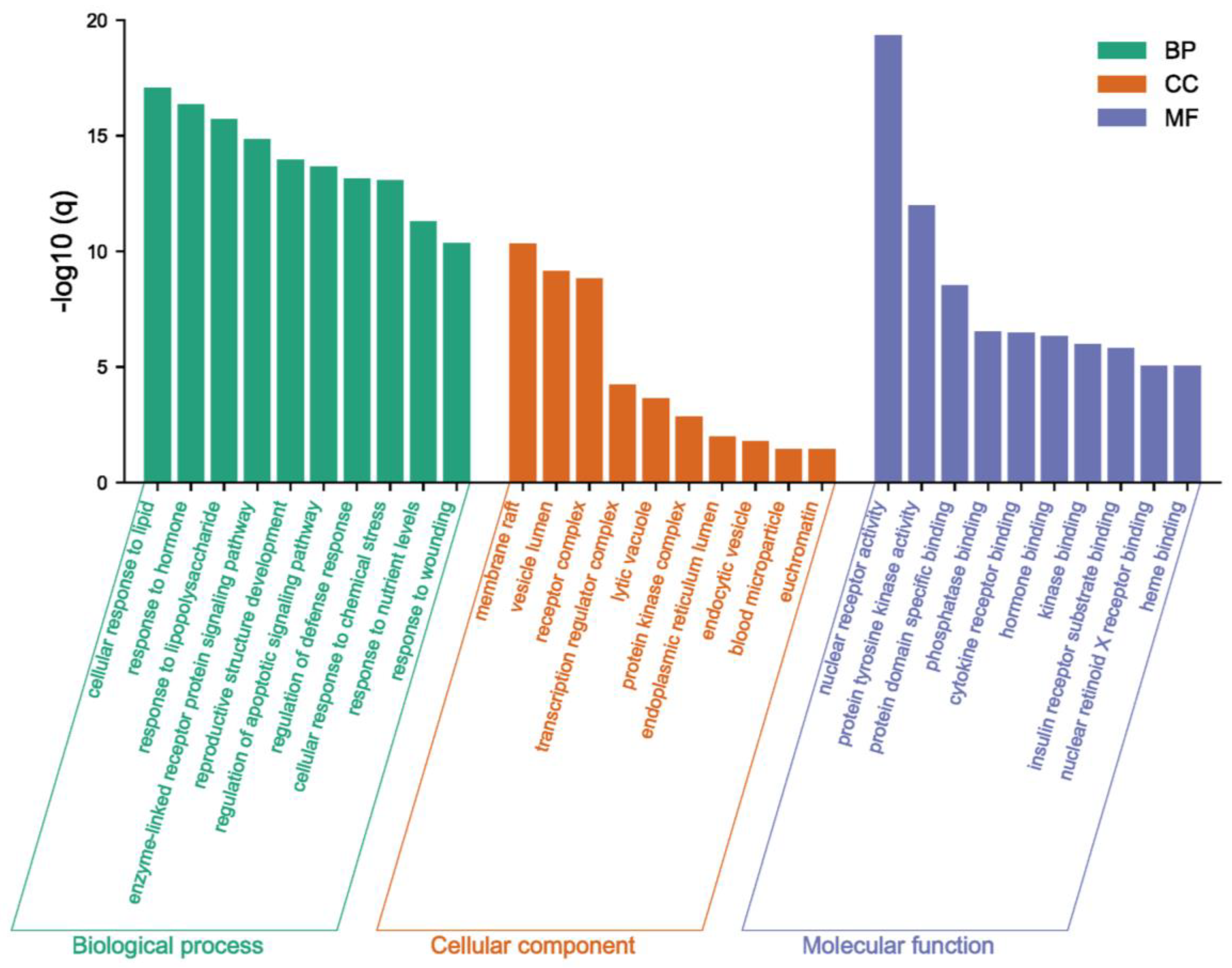 Pharmaceuticals 16 00316 g004 Pharmaceuticals 16 00316 g004