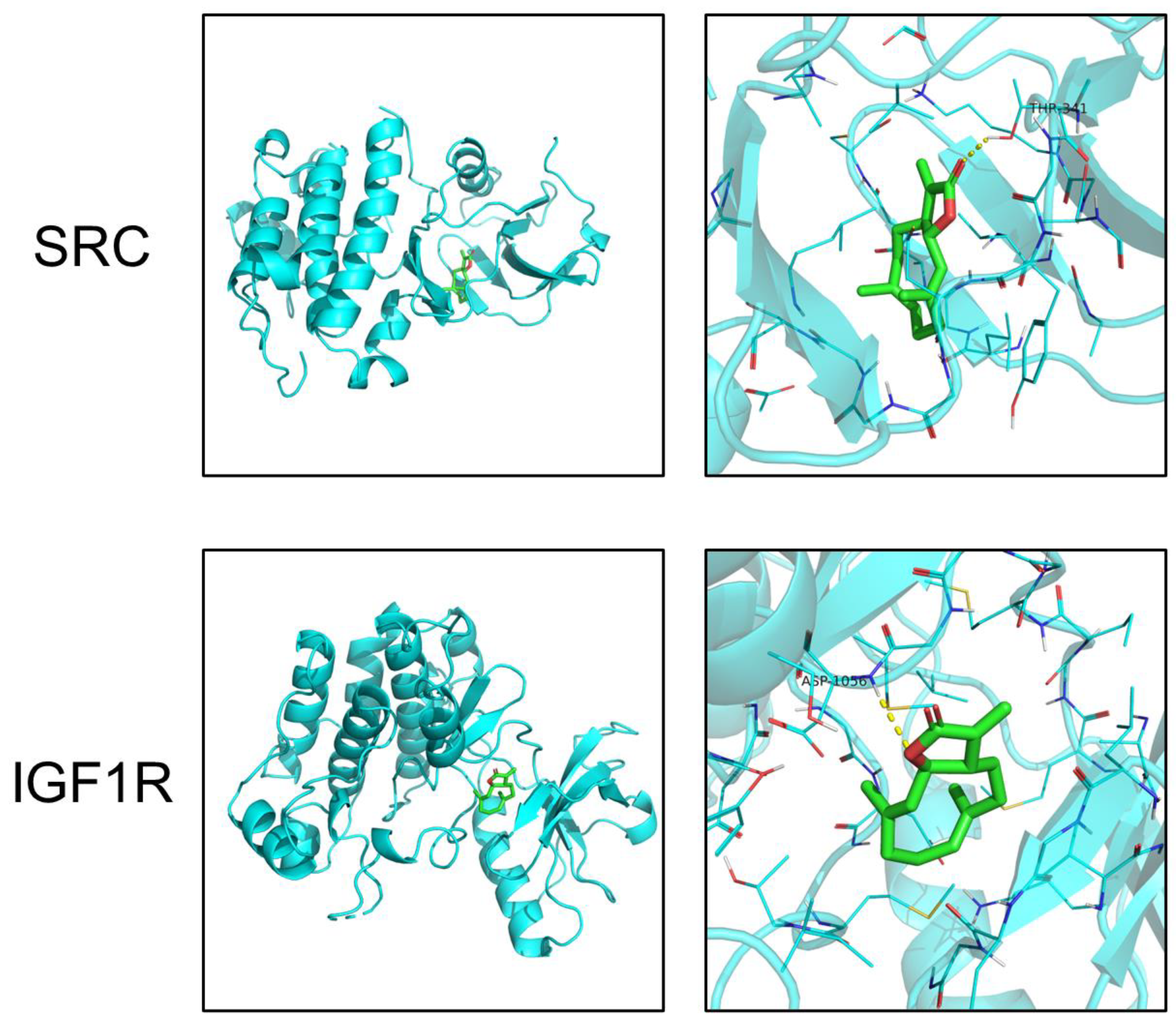 Pharmaceuticals 16 00316 g006 Pharmaceuticals 16 00316 g006
