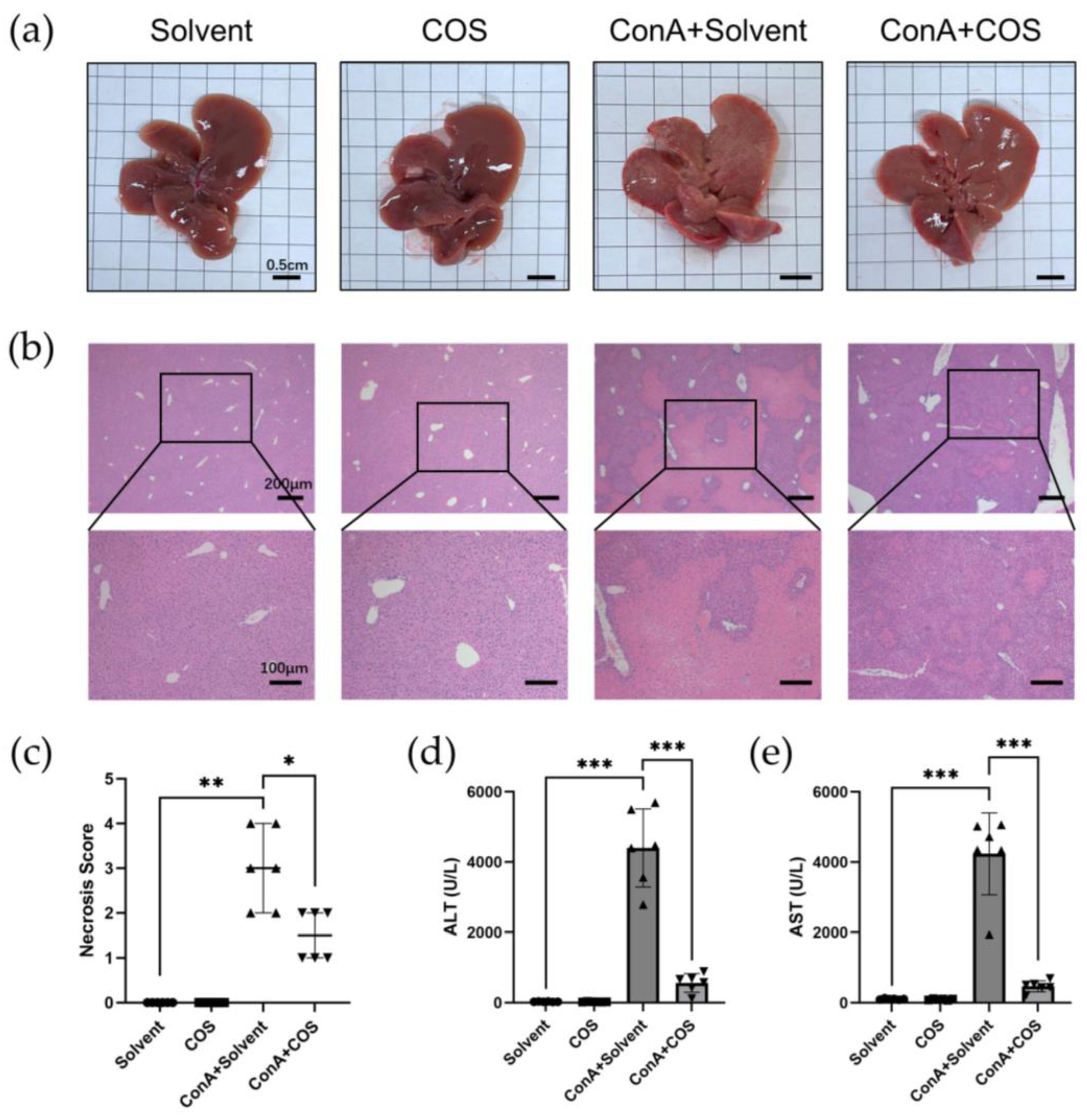Pharmaceuticals 16 00316 g007 Pharmaceuticals 16 00316 g007
