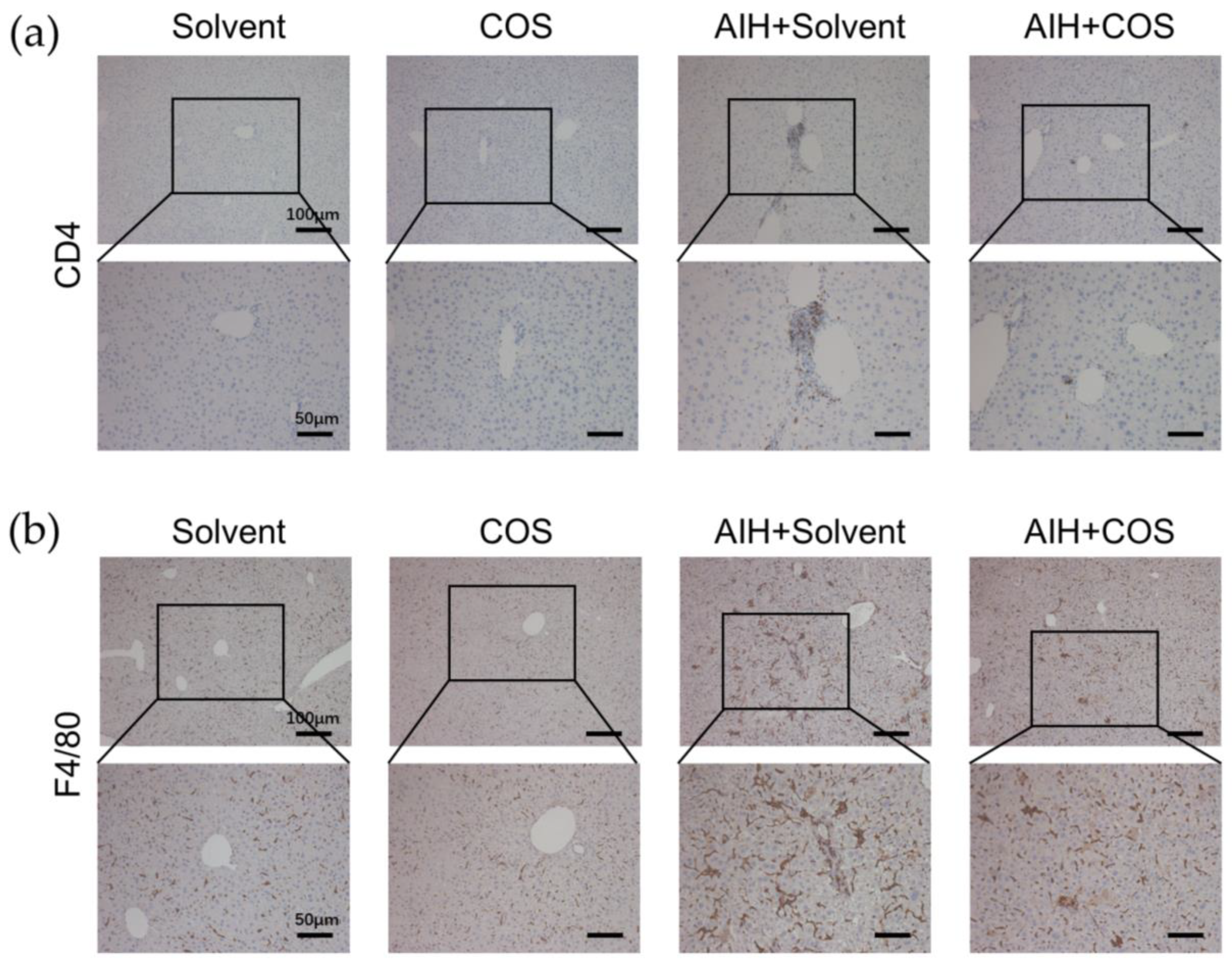 Pharmaceuticals 16 00316 g009 Pharmaceuticals 16 00316 g009