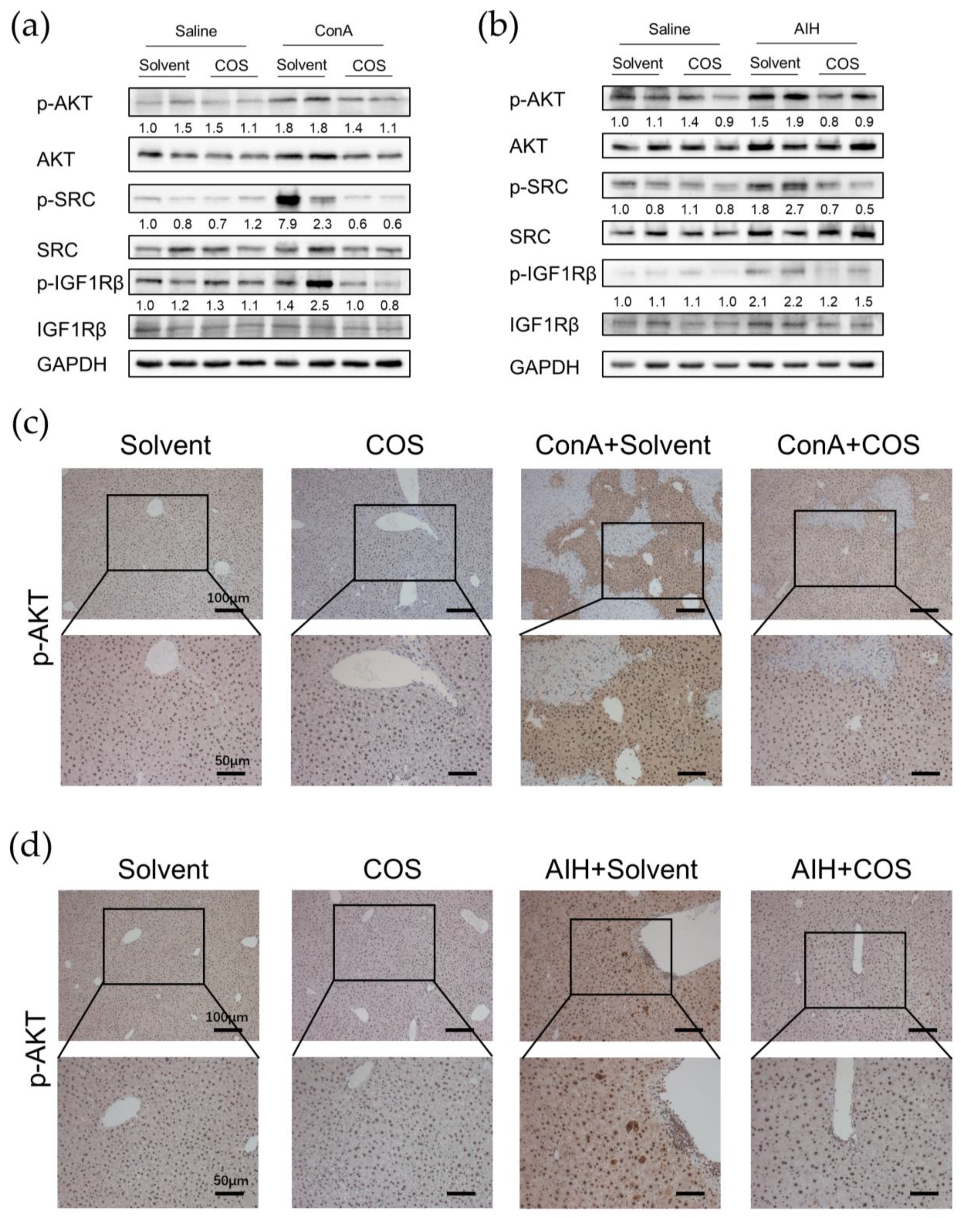 Pharmaceuticals 16 00316 g010 Pharmaceuticals 16 00316 g010