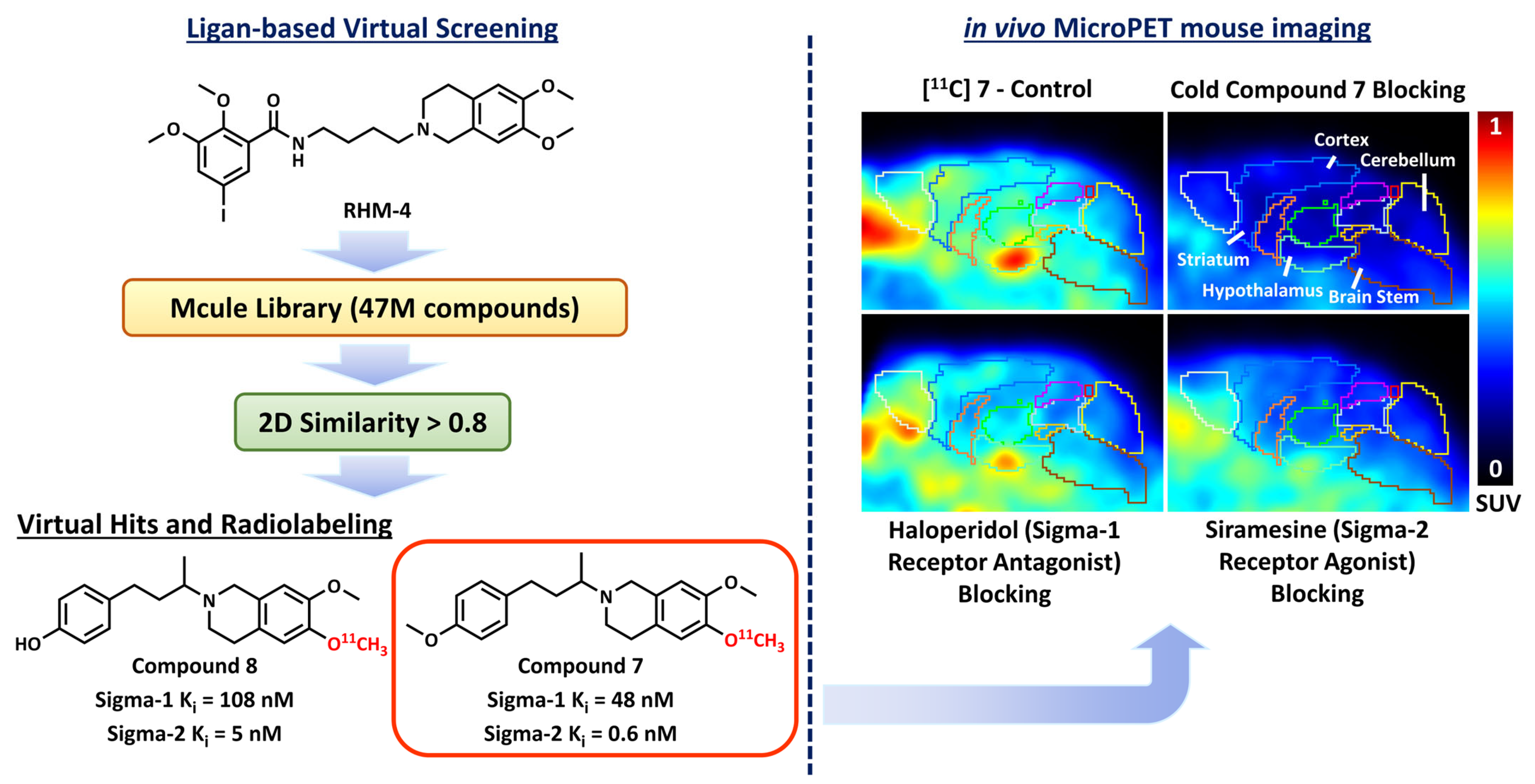 Pharmaceuticals 16 00317 g004 Pharmaceuticals 16 00317 g004