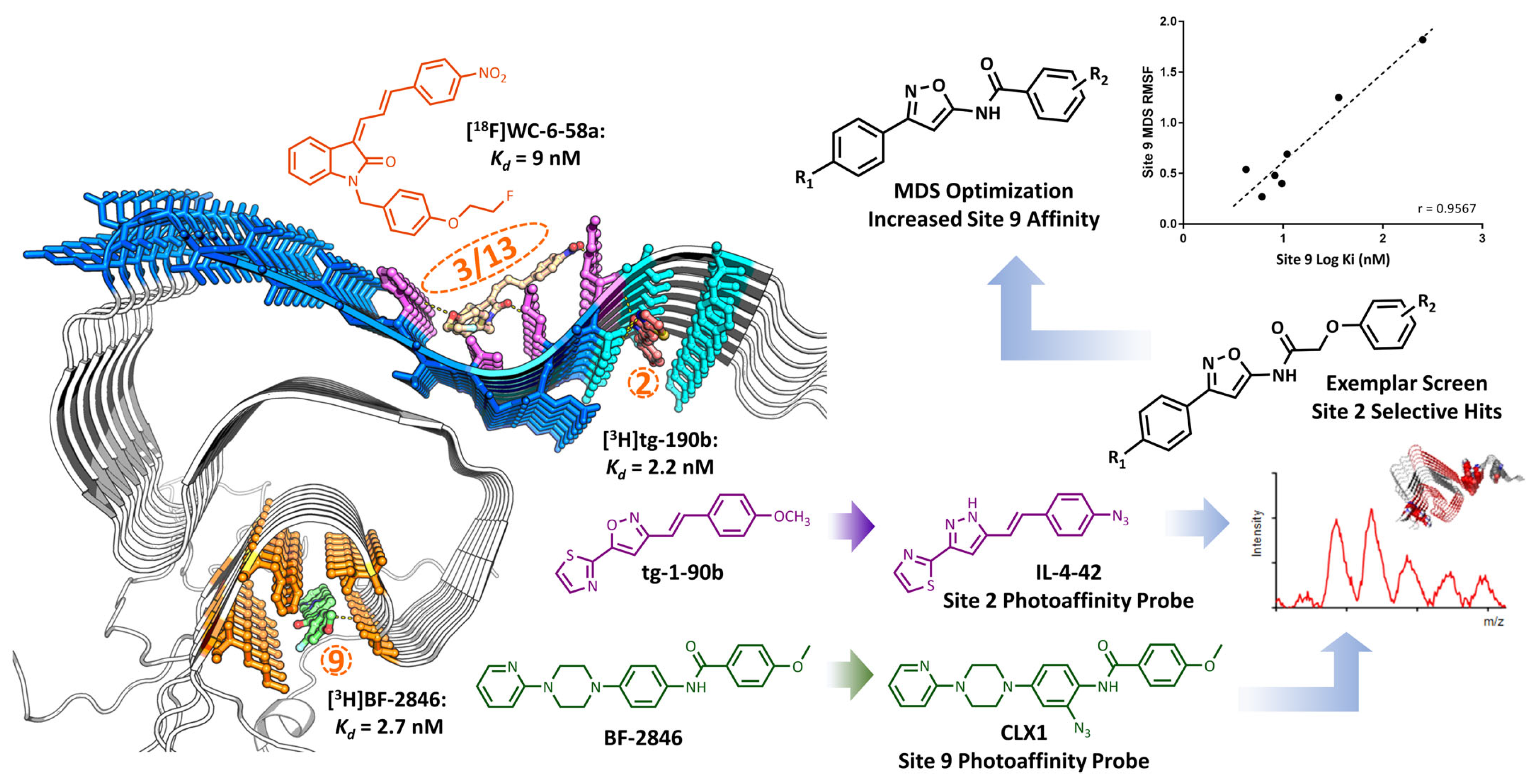 Pharmaceuticals 16 00317 g006 Pharmaceuticals 16 00317 g006