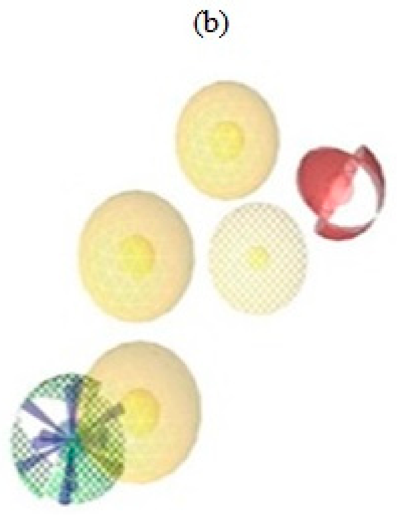 Pharmaceuticals 16 00330 g003b