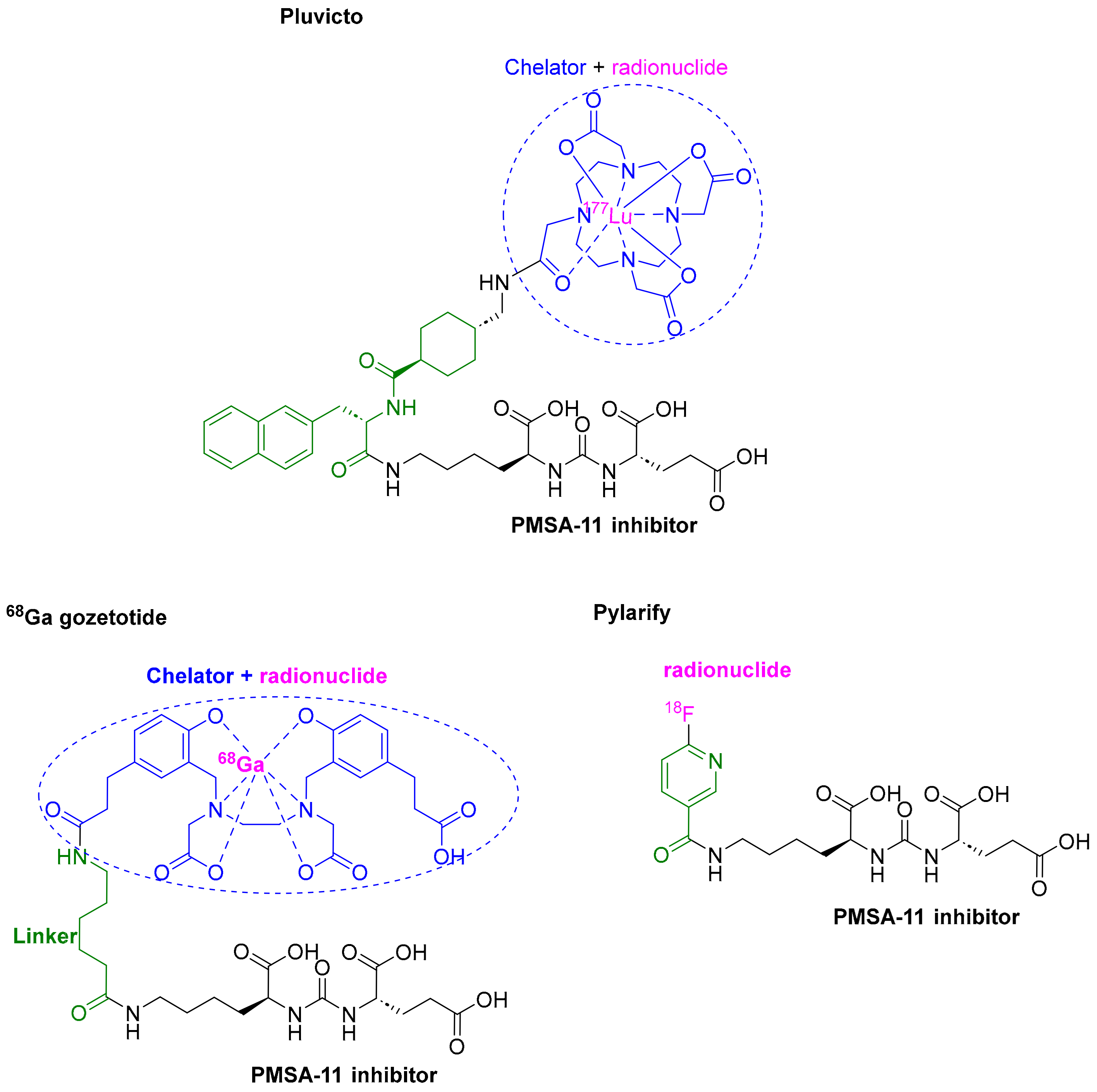 Pharmaceuticals 16 00336 g005