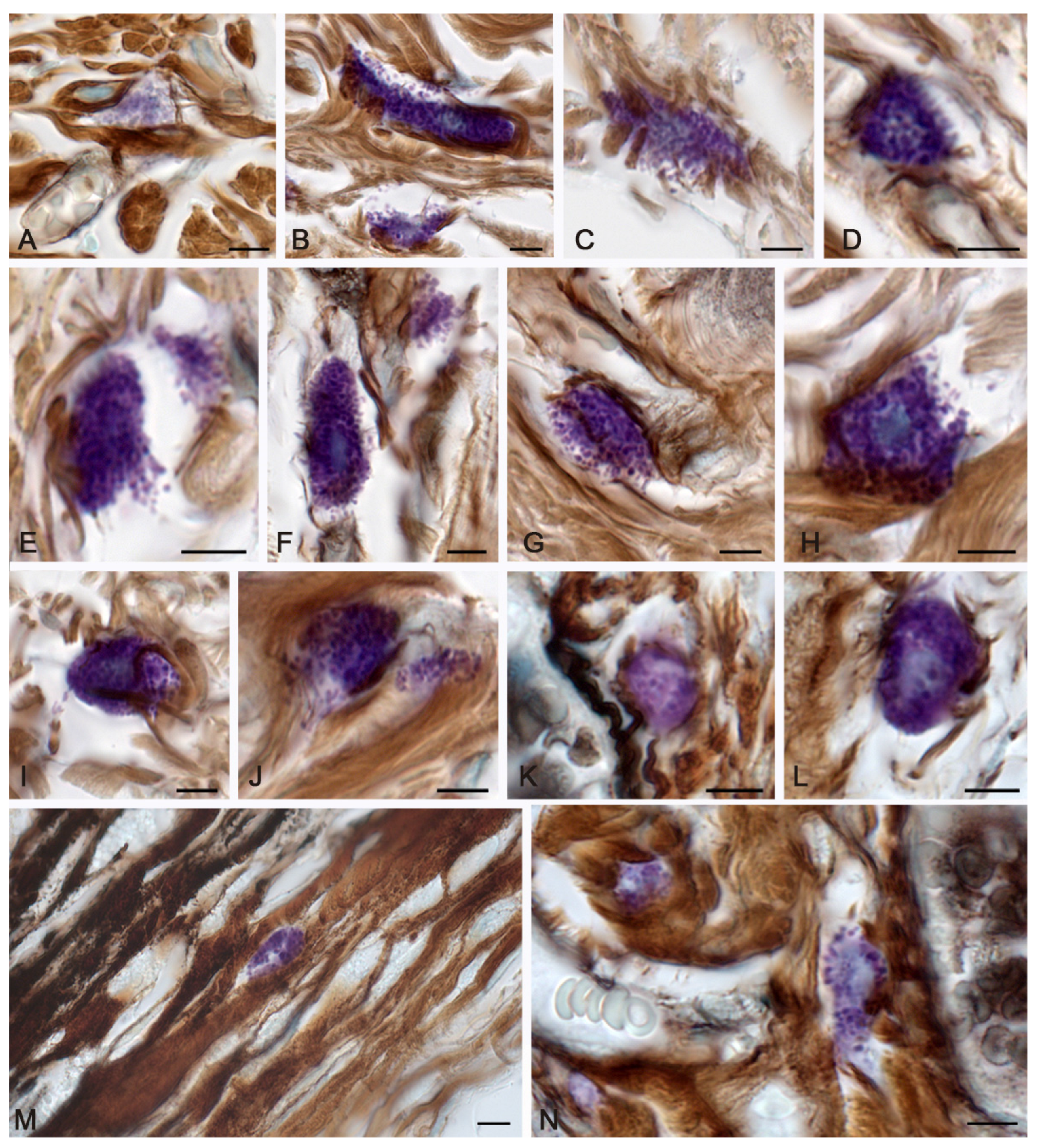 Pharmaceuticals 16 00348 g001