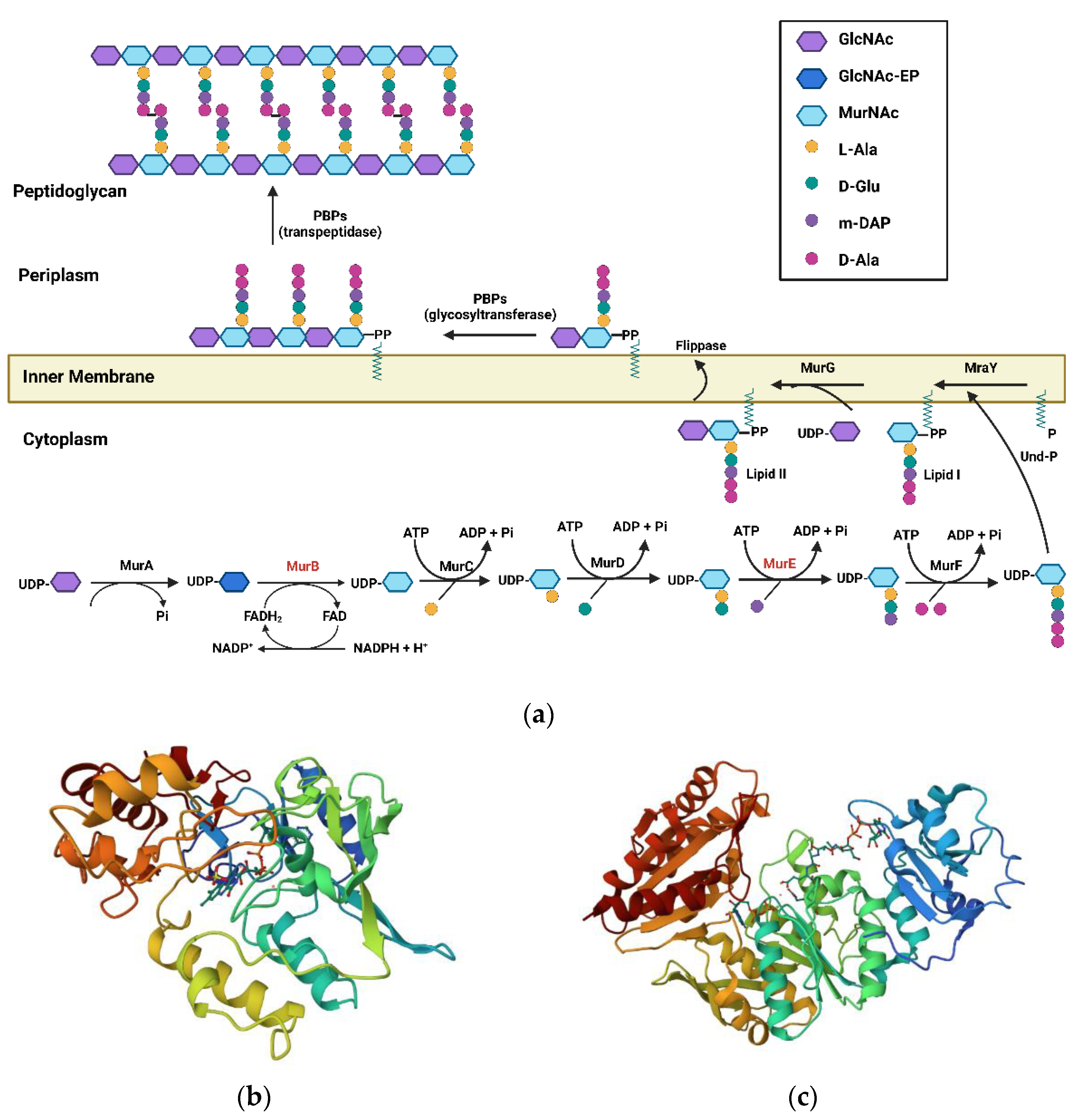 Pharmaceuticals 16 00377 g001 Pharmaceuticals 16 00377 g001