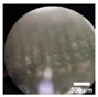 Pharmaceuticals 16 00378 i013 Pharmaceuticals 16 00378 i013