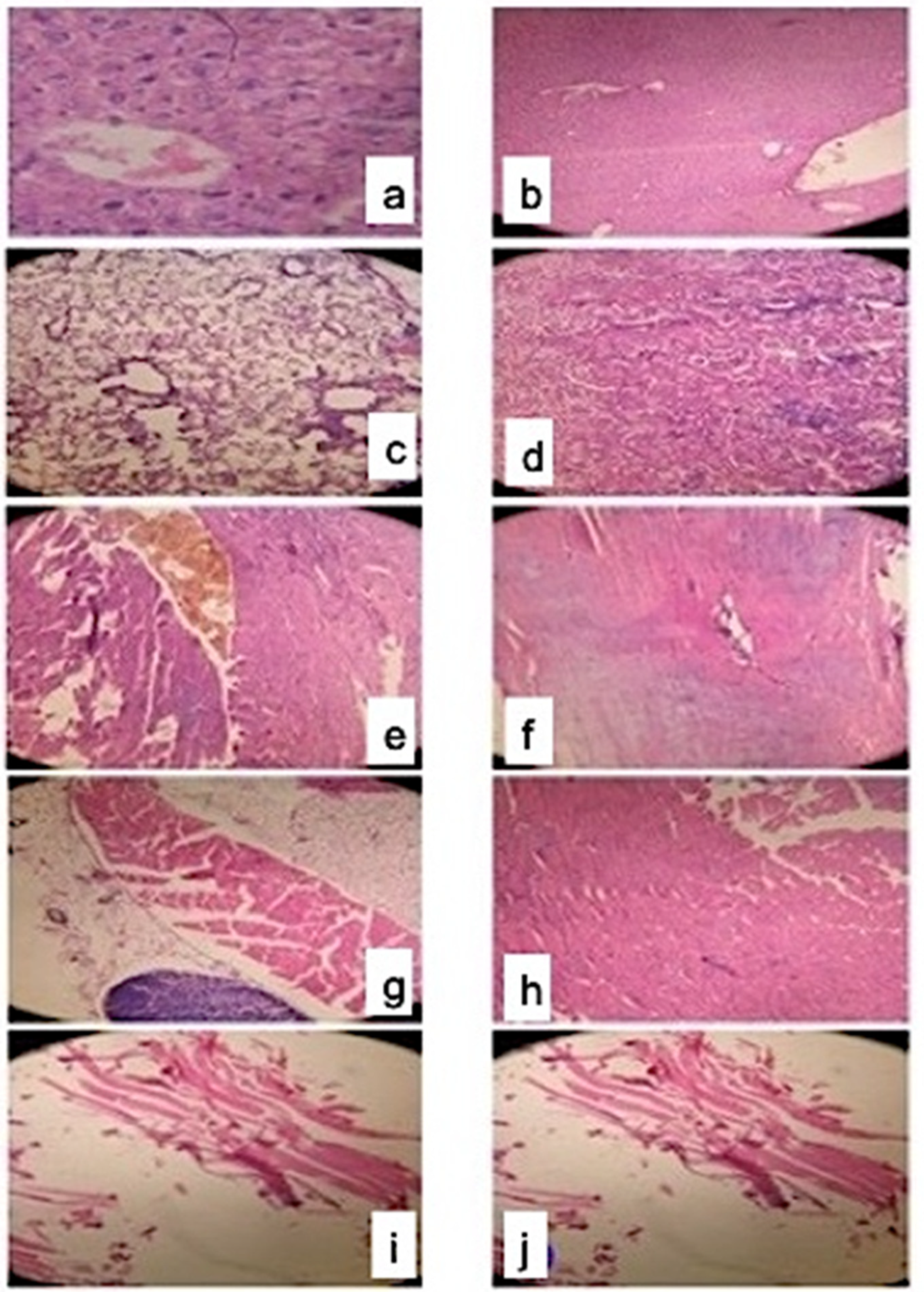 Pharmaceuticals 16 00380 g009
