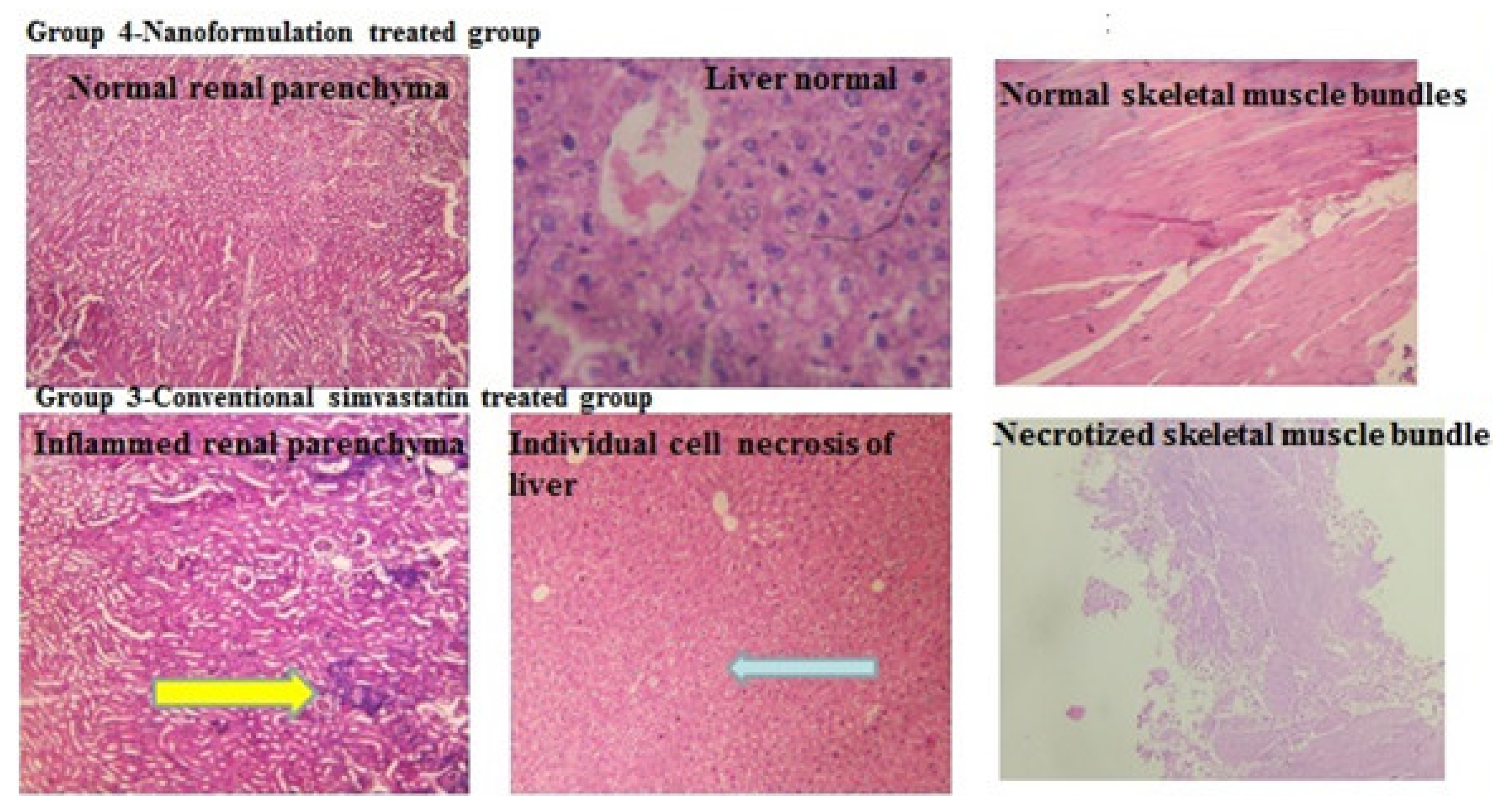 Pharmaceuticals 16 00380 g010