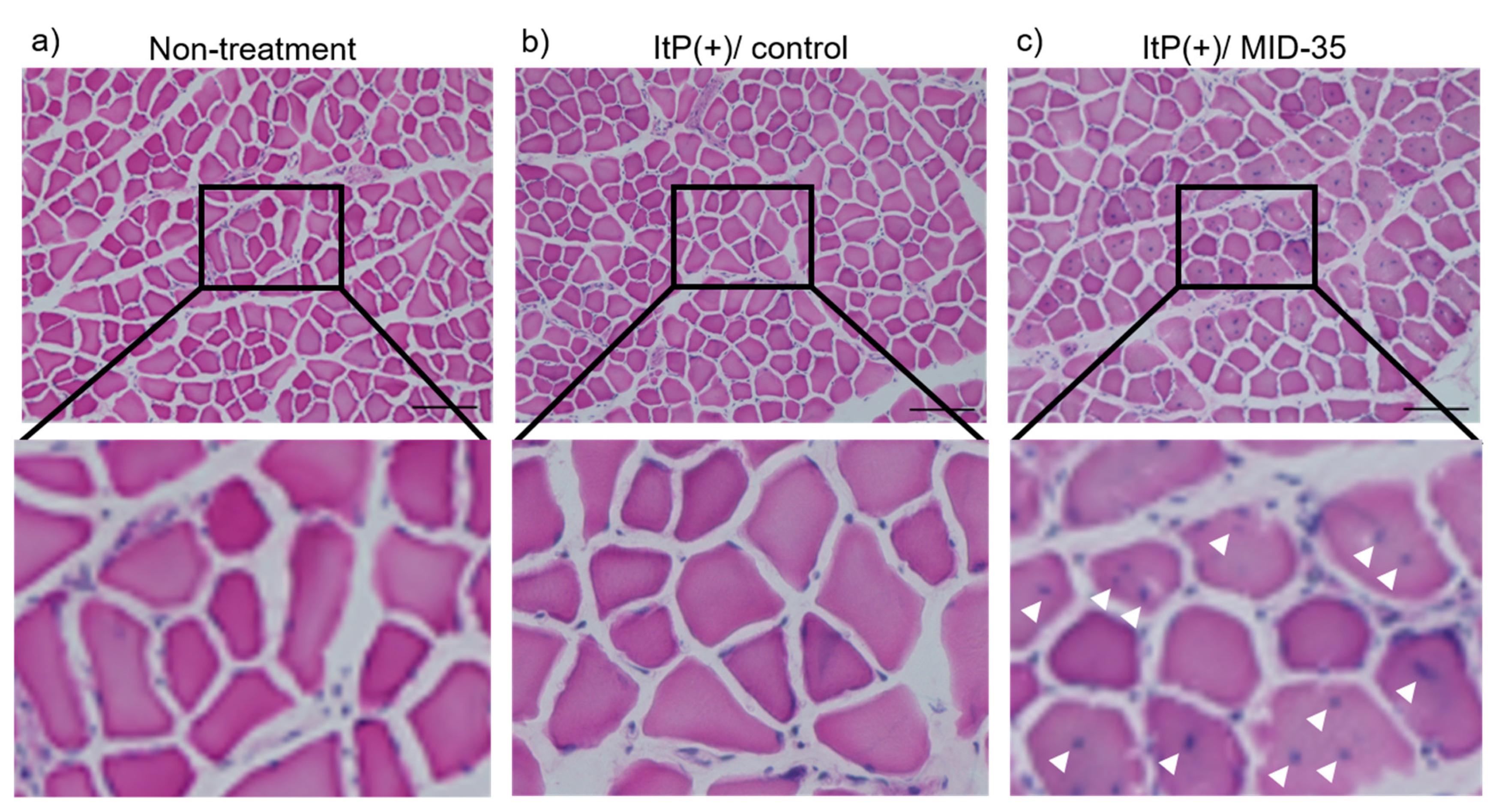 Pharmaceuticals 16 00397 g003 Pharmaceuticals 16 00397 g003
