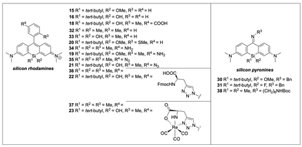 Pharmaceuticals 16 00401 i001 Pharmaceuticals 16 00401 i001
