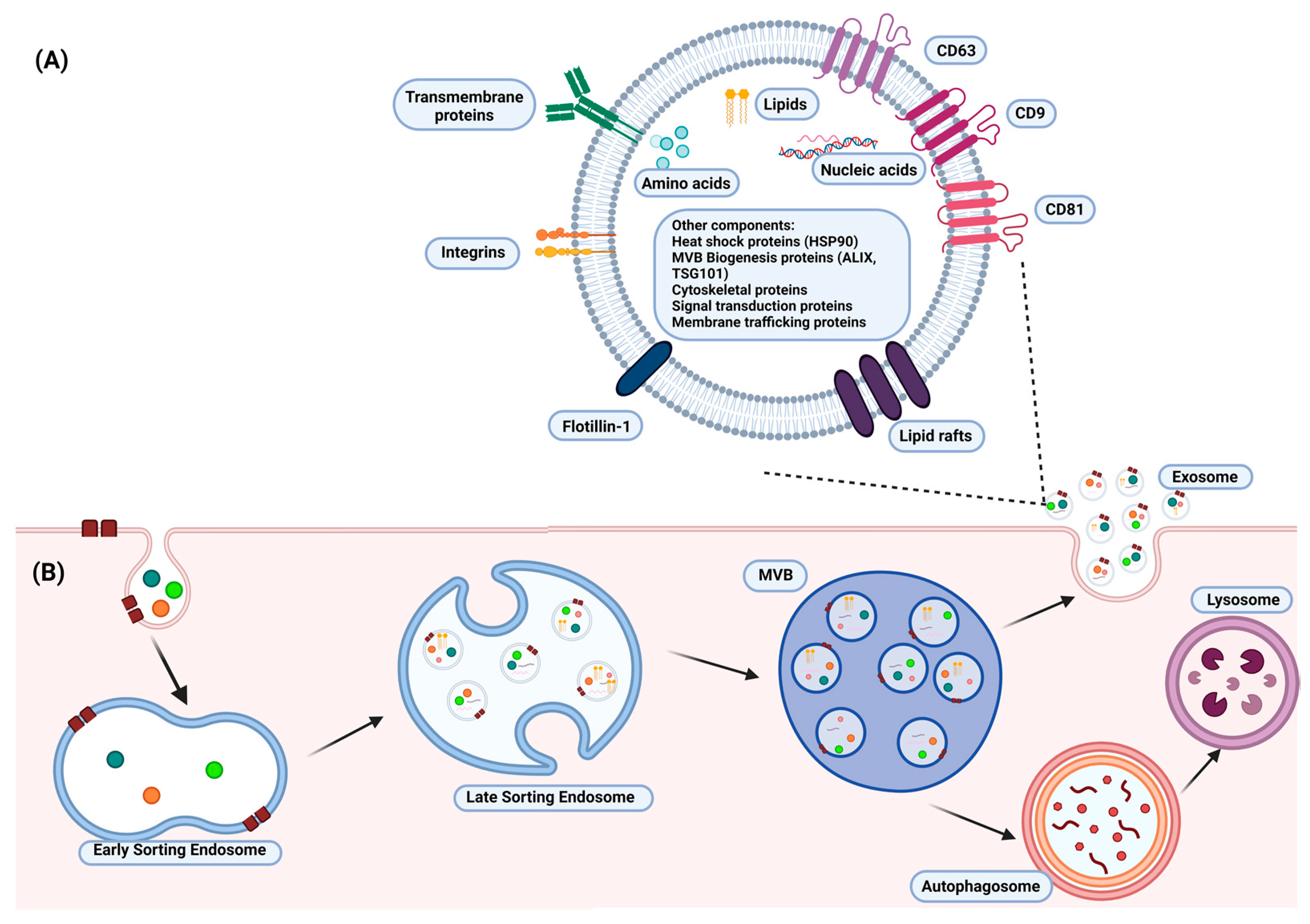 Pharmaceuticals 16 00421 g001 Pharmaceuticals 16 00421 g001