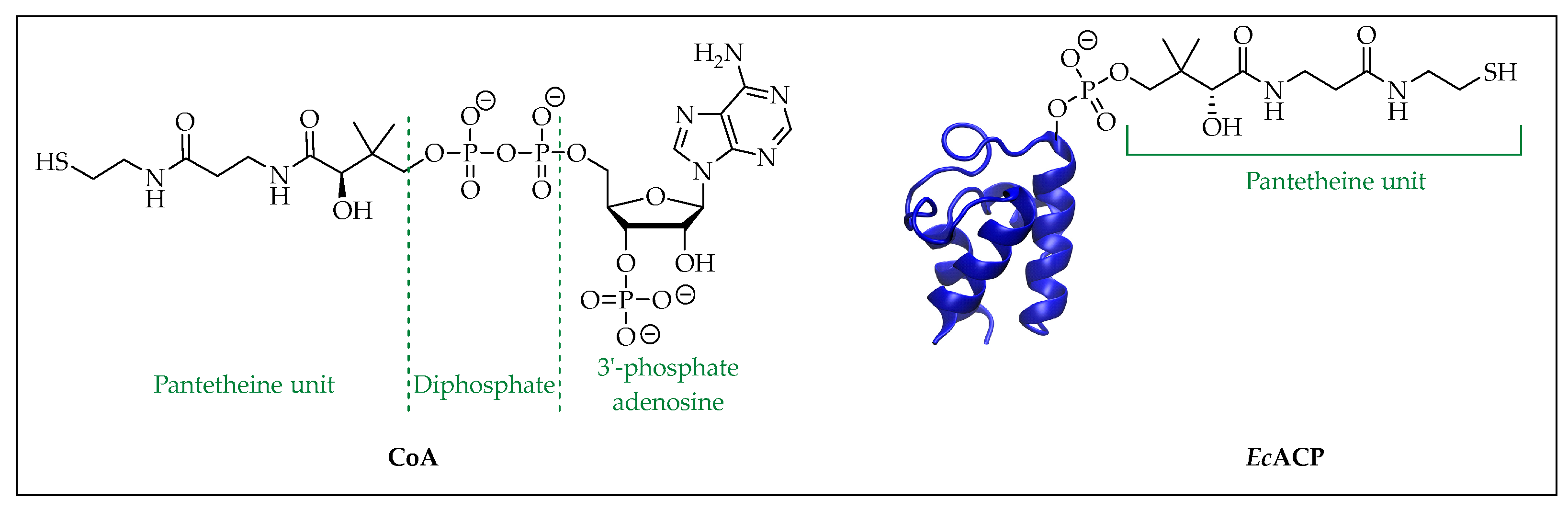 Pharmaceuticals 16 00425 g001
