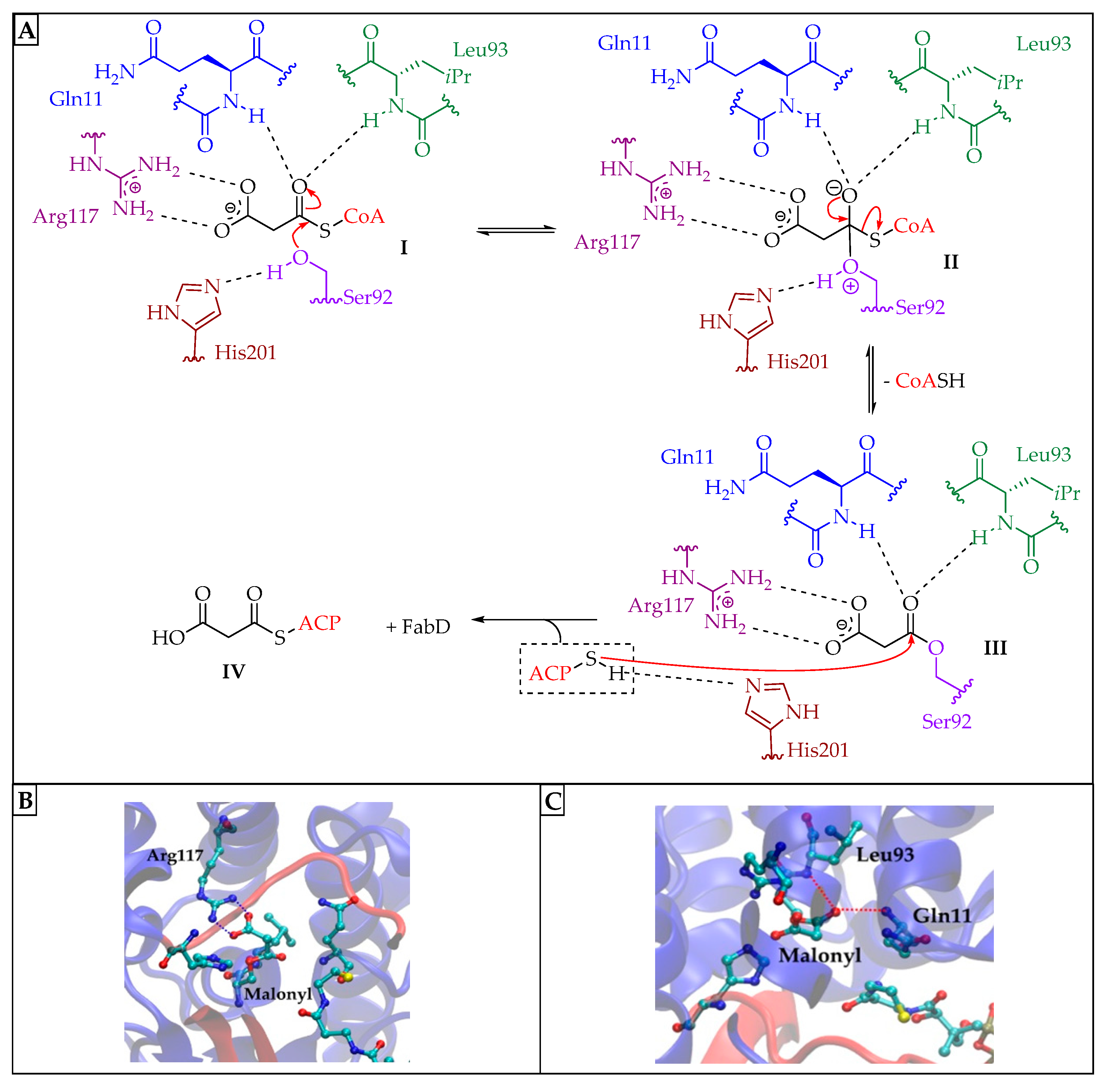 Pharmaceuticals 16 00425 g003