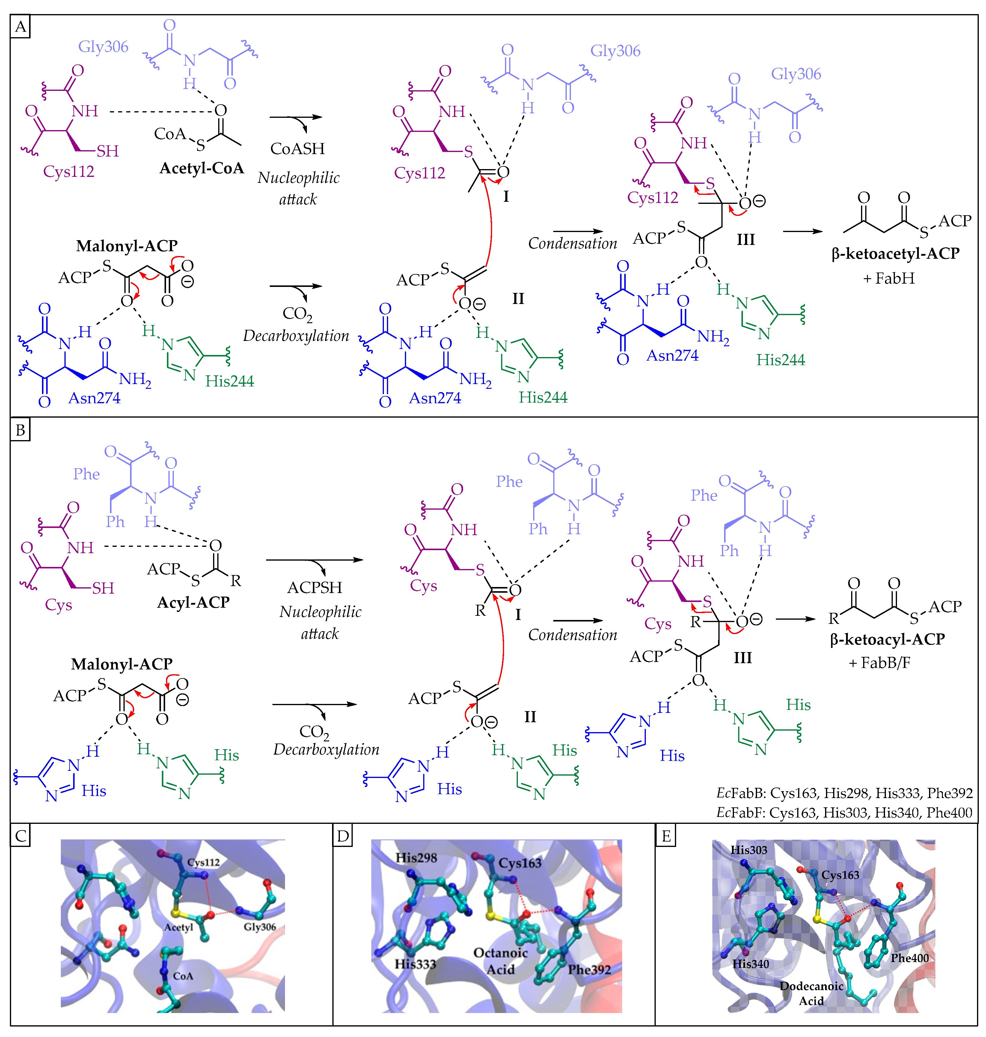 Pharmaceuticals 16 00425 g005